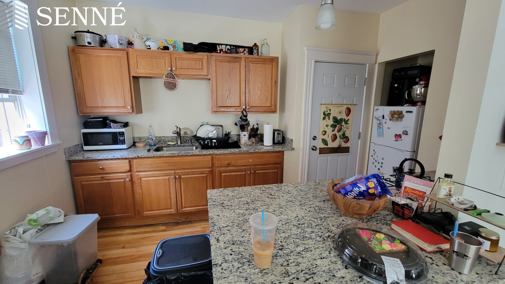 6 Sherborn Ct, Medford