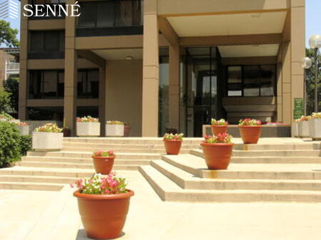 929 Massachusetts Ave, Harvard Square