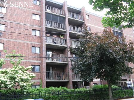 12 14 16 Ellery St, Harvard Square