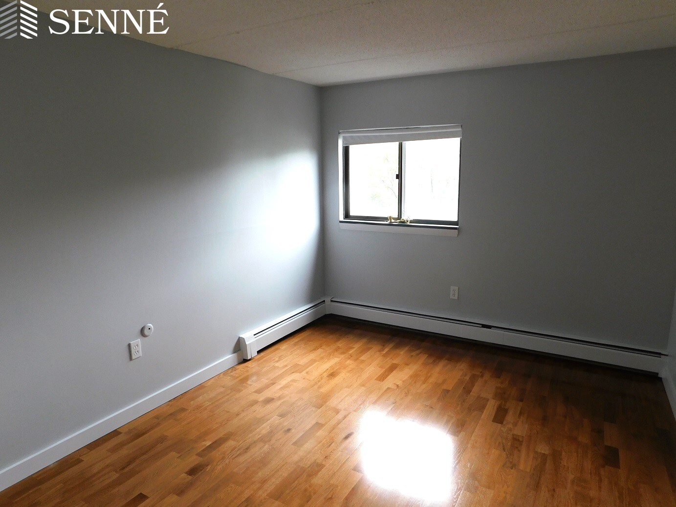 12 14 16 Ellery St, Harvard Square