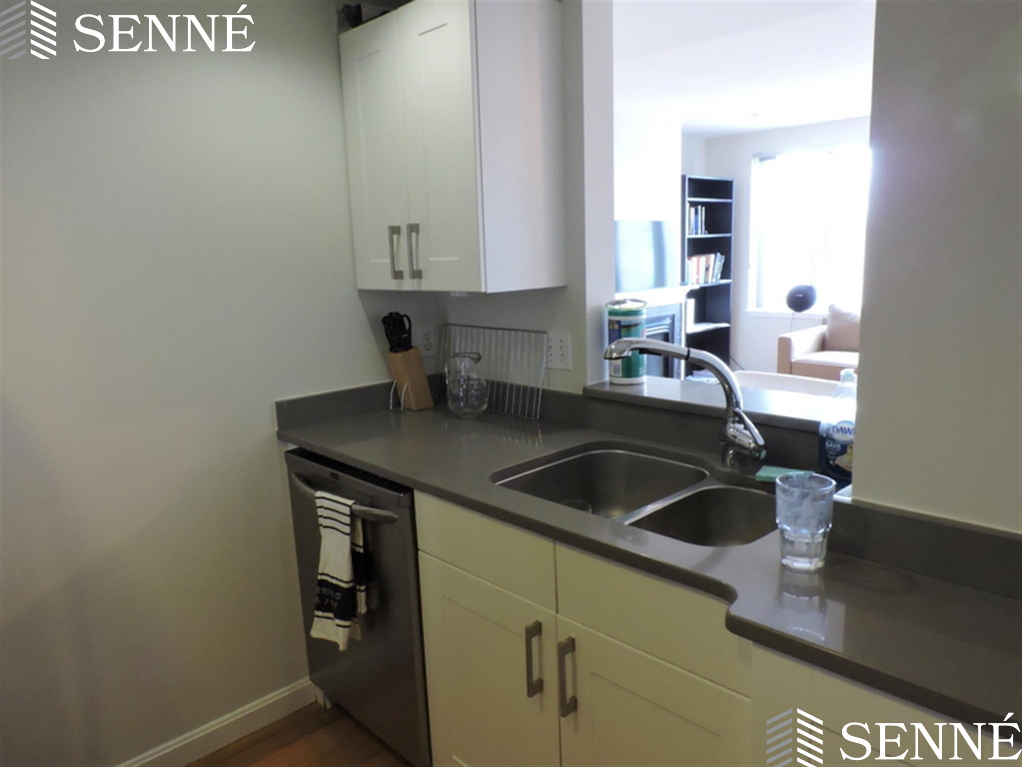 1008 Massachusetts Ave, Harvard Square