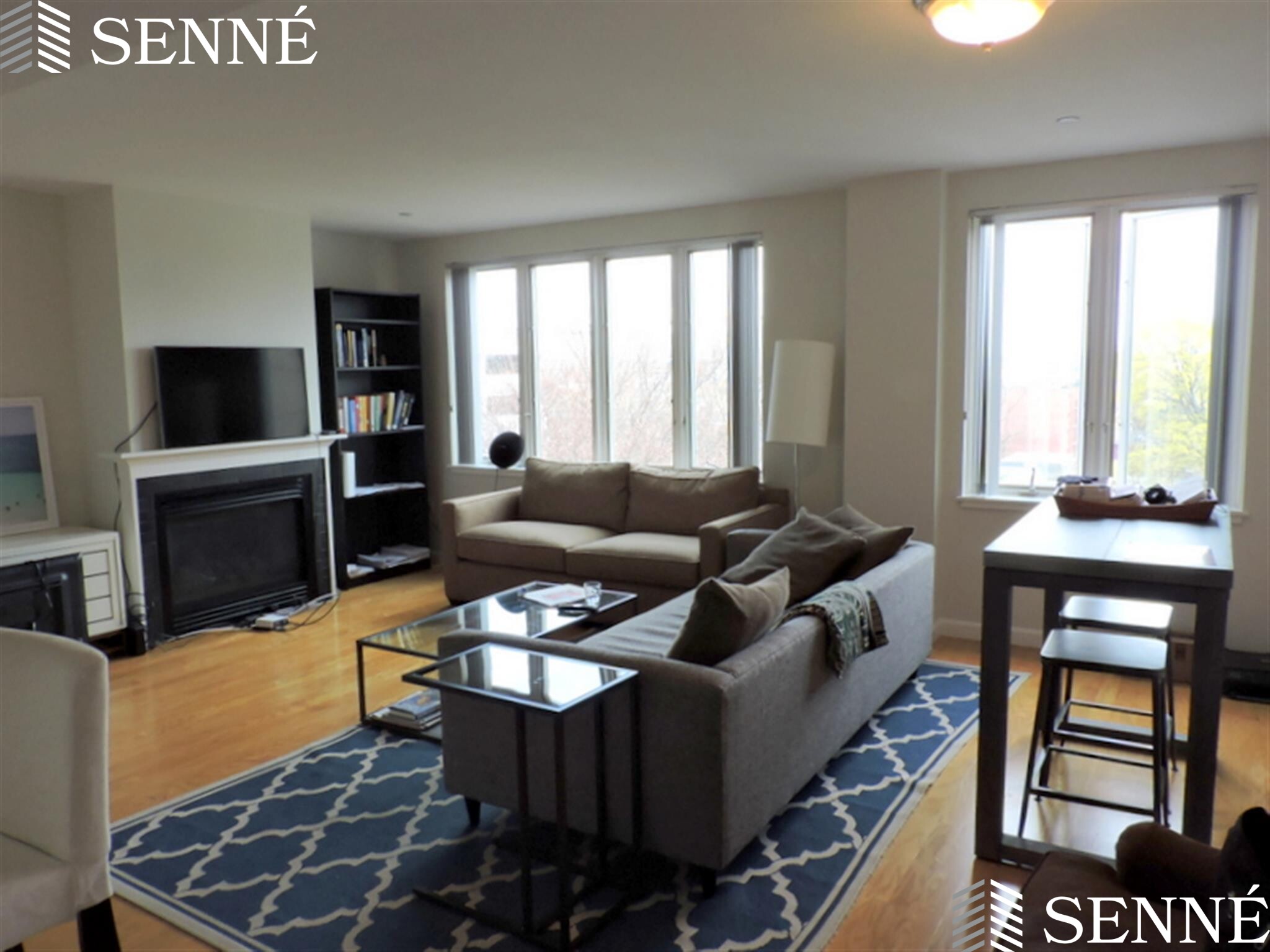 1008 Massachusetts Ave, Harvard Square