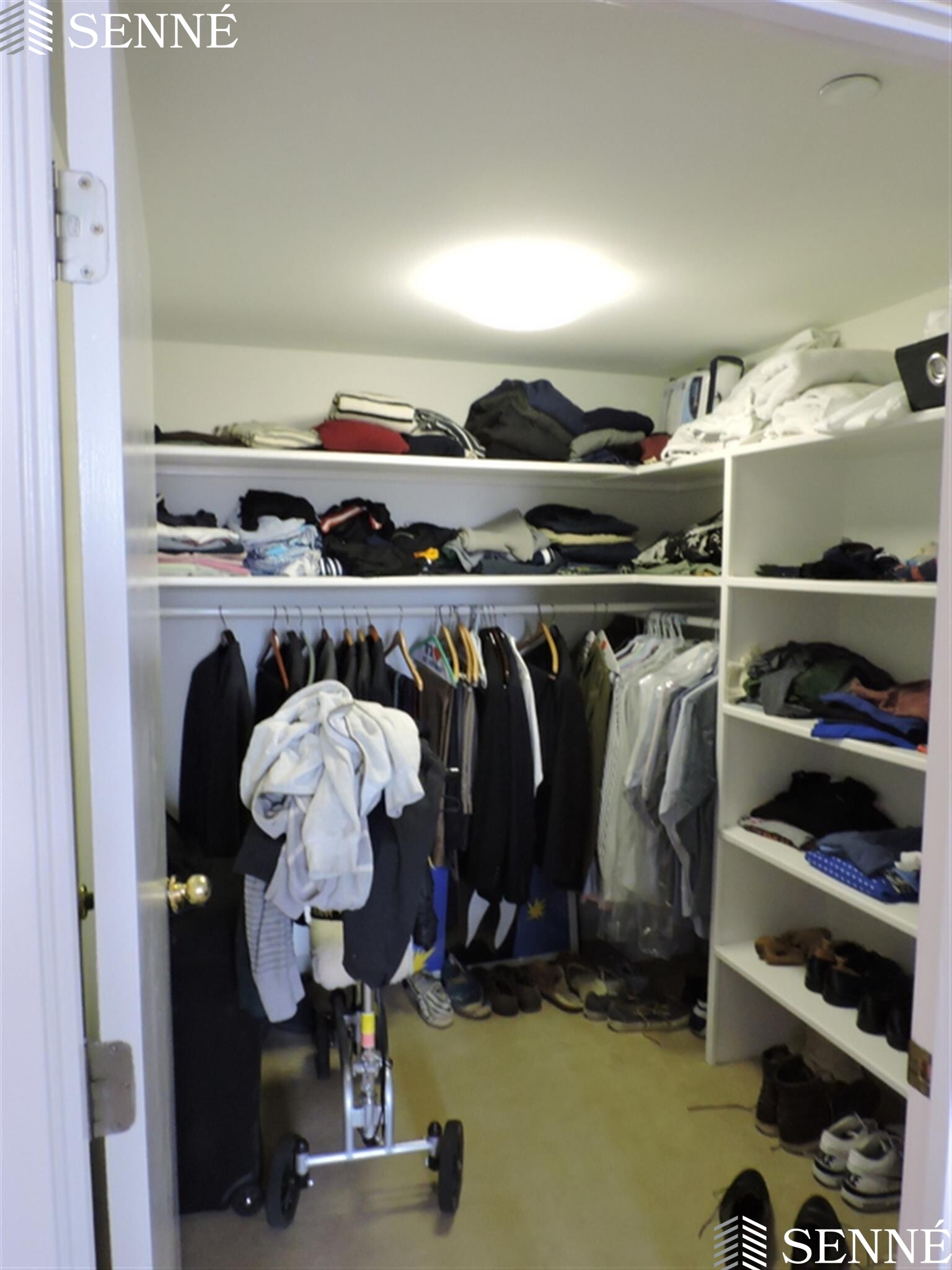 1008 Massachusetts Ave, Harvard Square