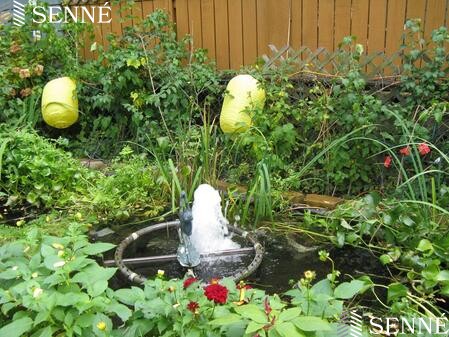 434 Franklin St, Cambridgeport