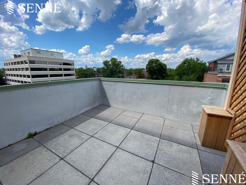 1008 Massachusetts Ave, Harvard Square