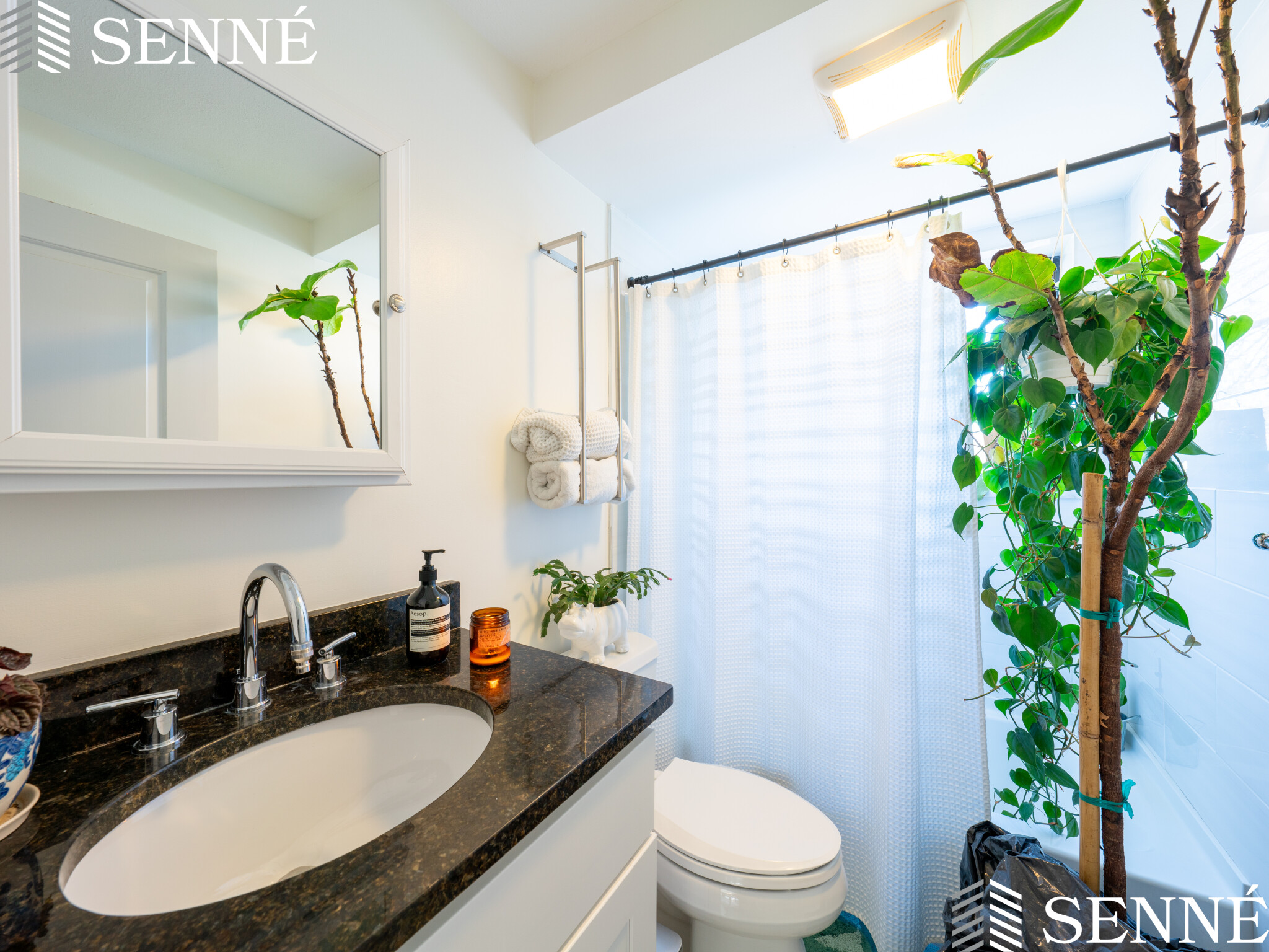 6 Blair Pl, Neighborhood Nine