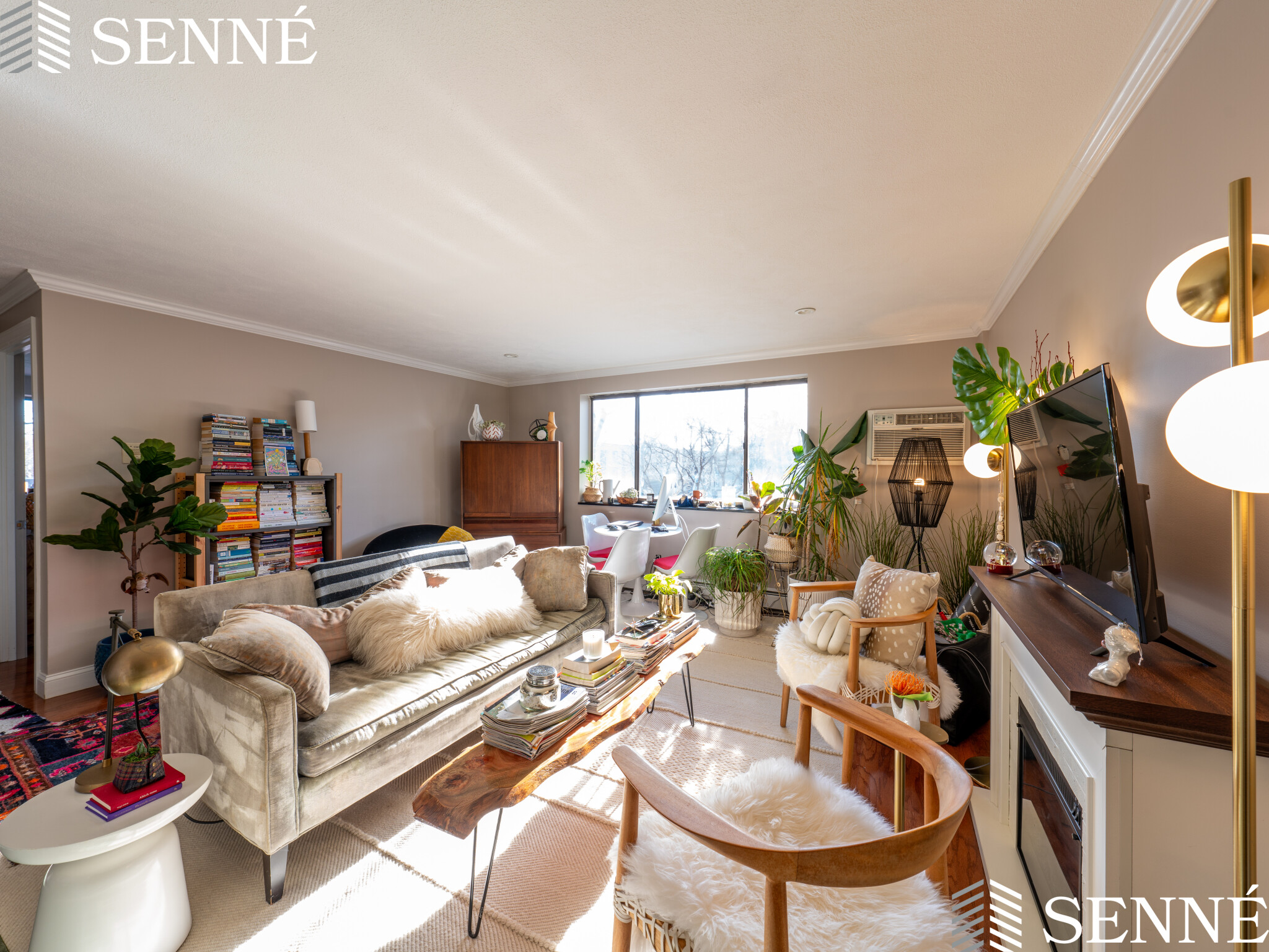 6 Blair Pl, Neighborhood Nine