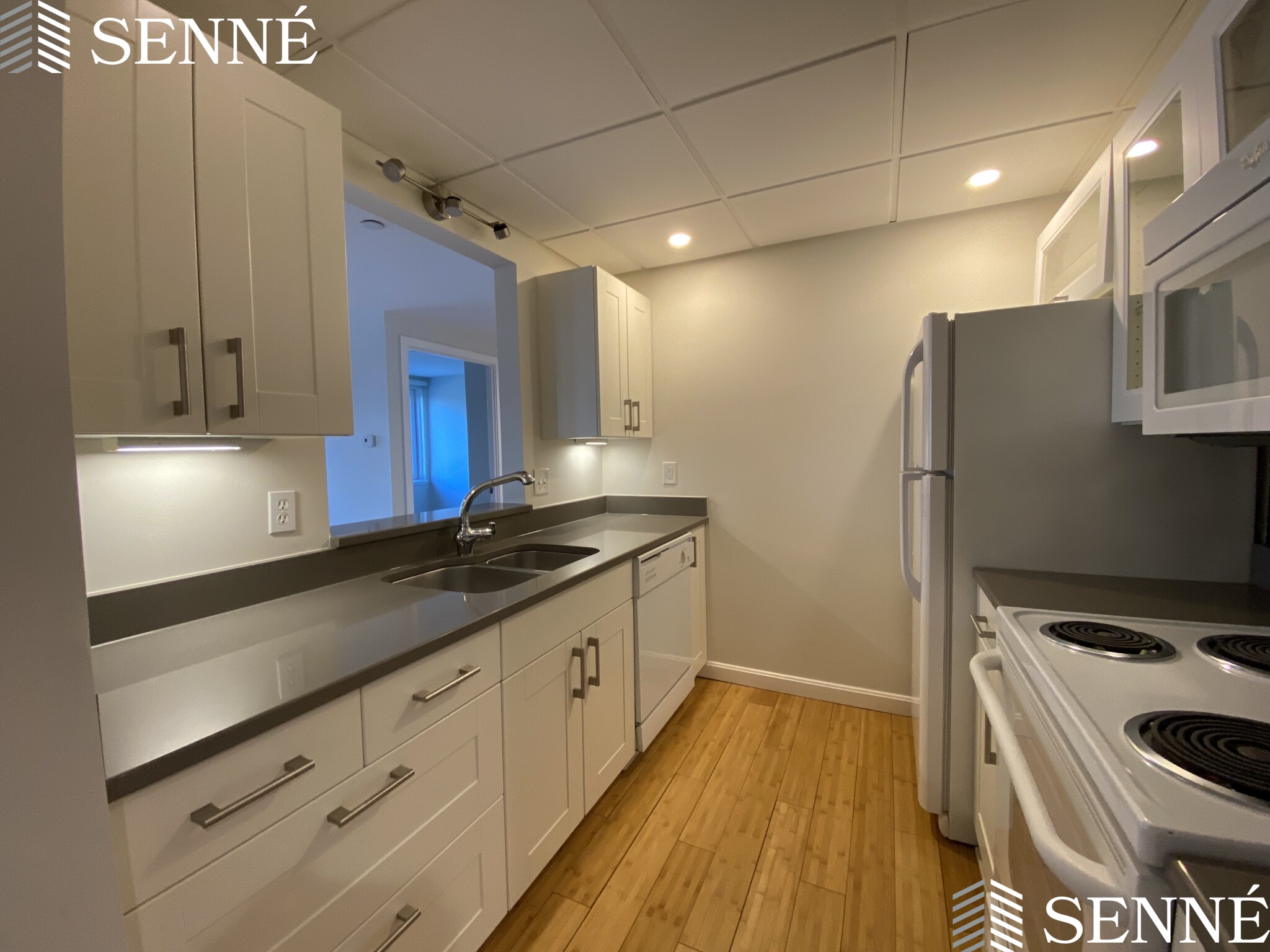 1008 Massachusetts Ave, Harvard Square