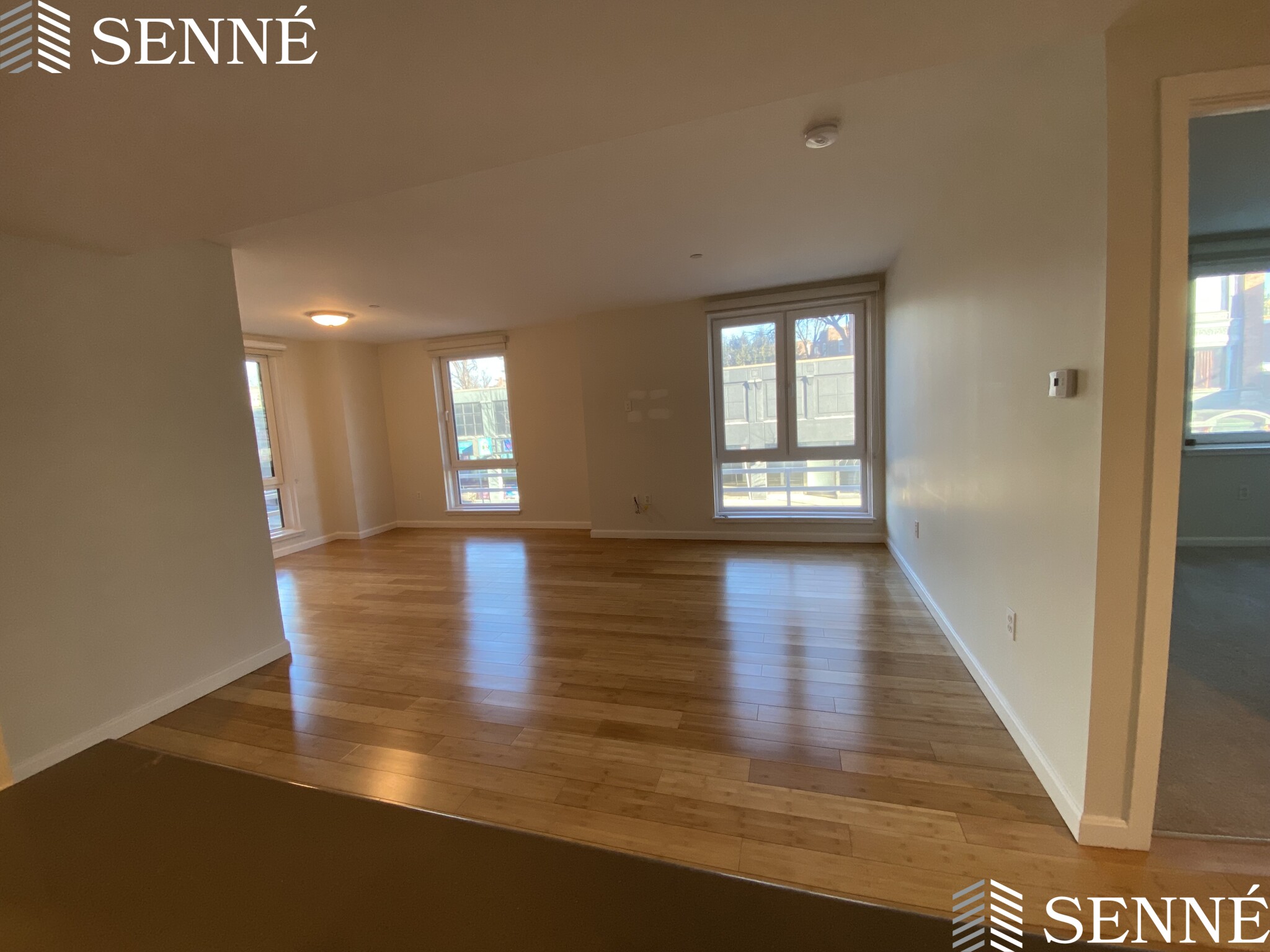 1008 Massachusetts Ave, Harvard Square