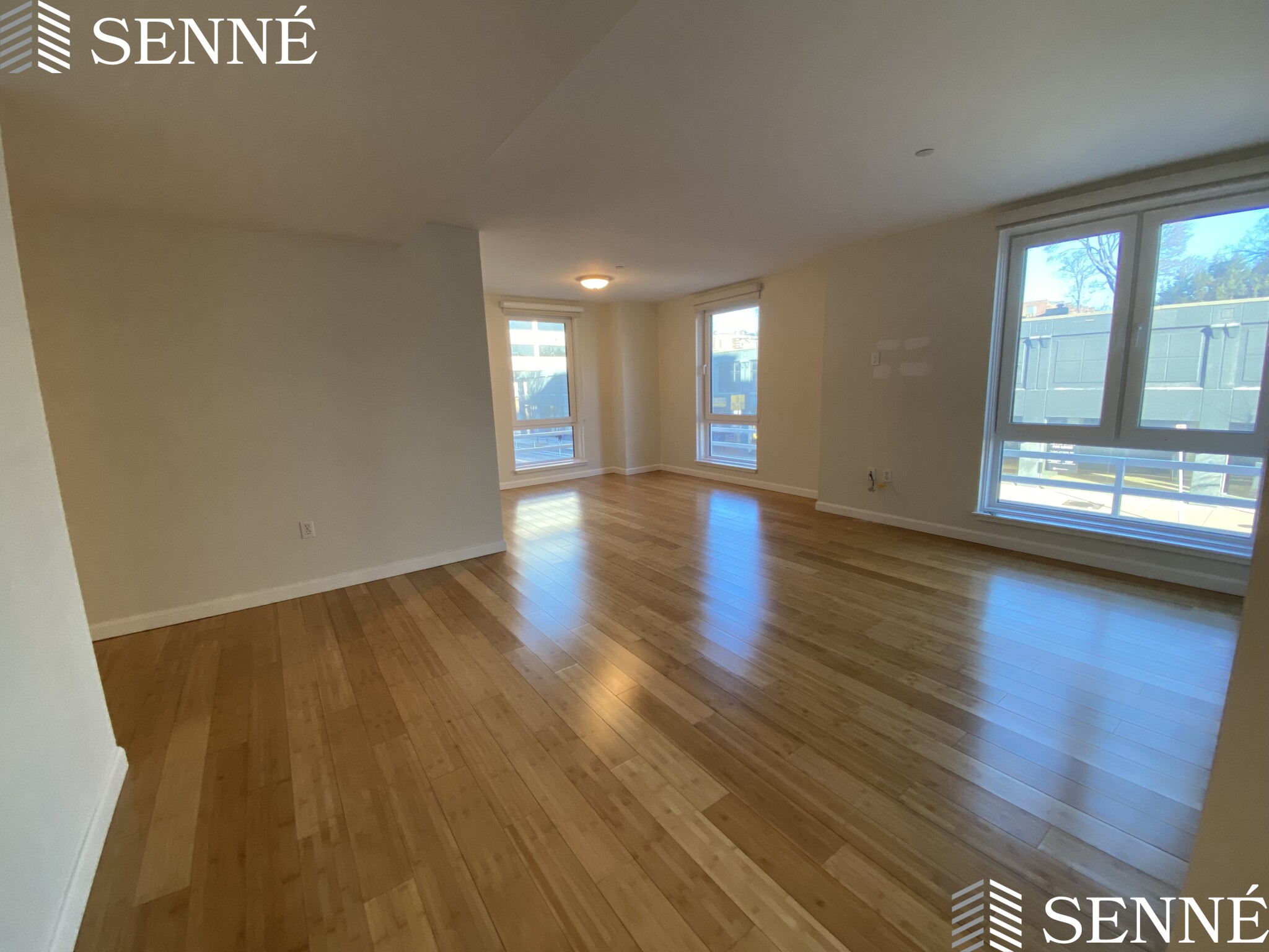 1008 Massachusetts Ave, Harvard Square