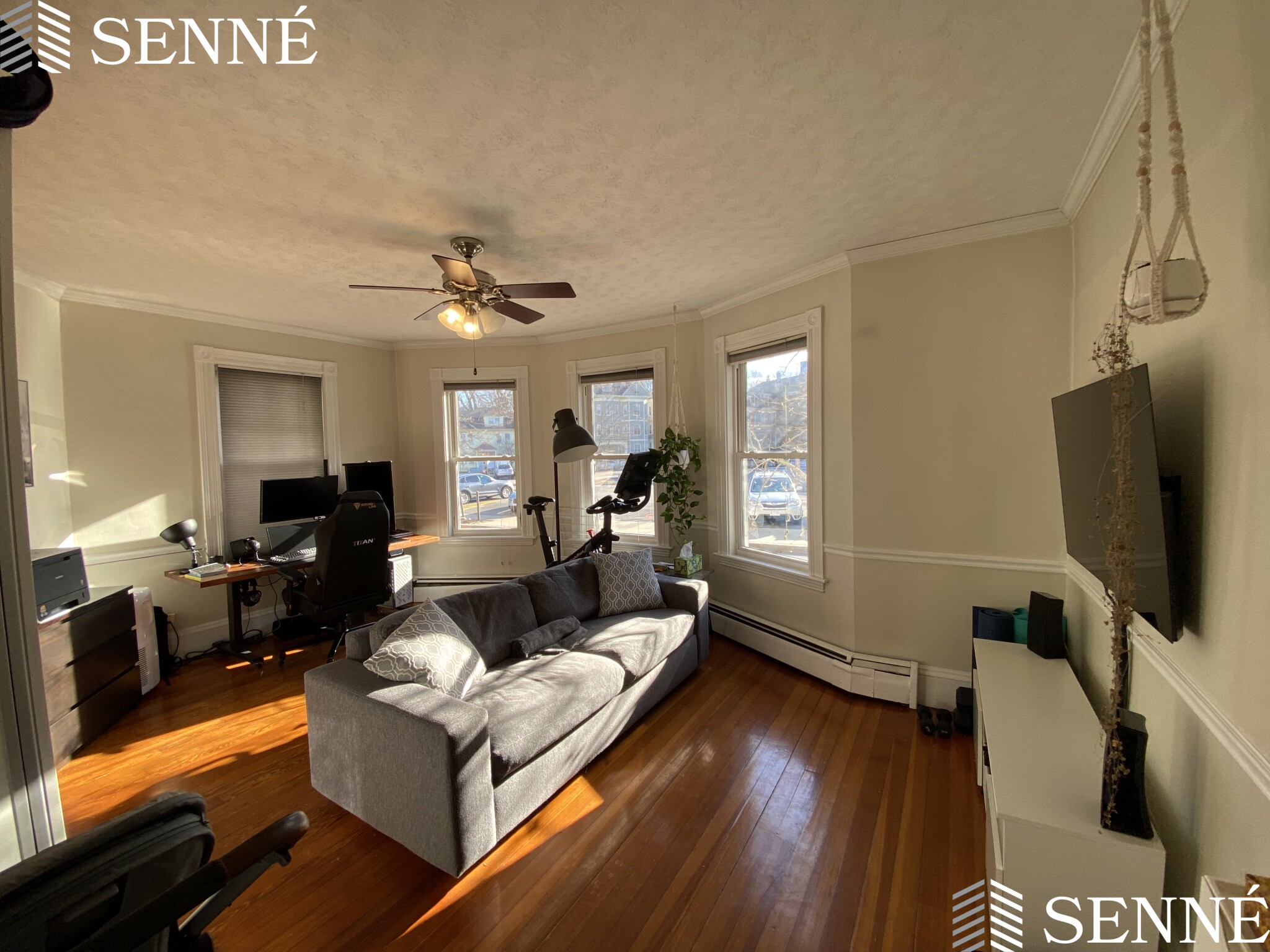 18 Homer, Brookline Village