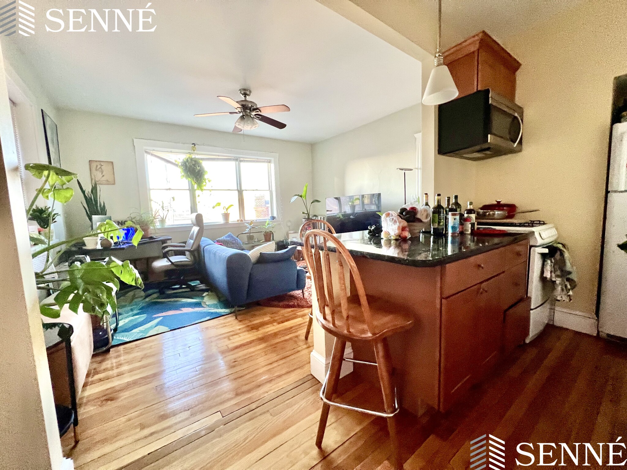 6 Sherborn Ct, Tufts University