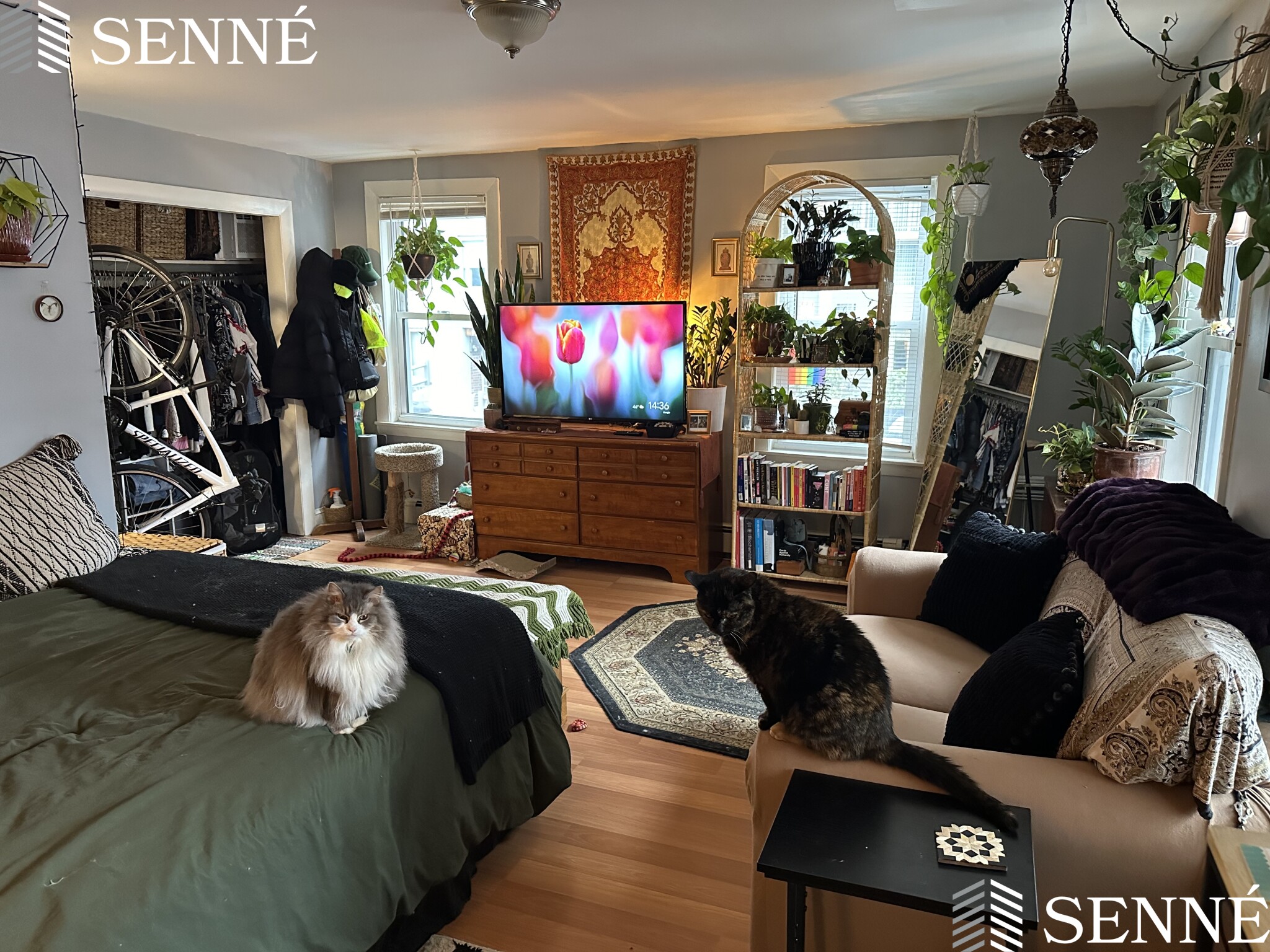 400 Franklin St, Riverside