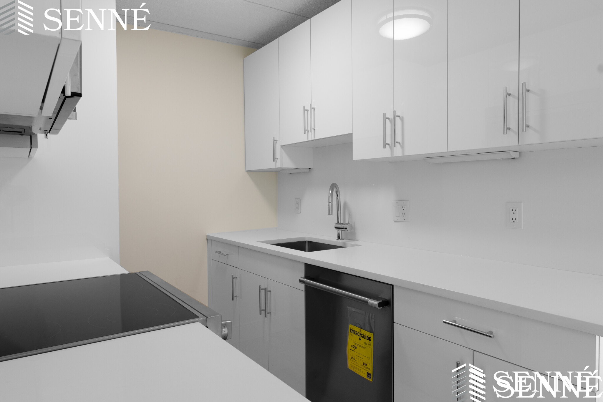 16 Trowbridge, Harvard Square