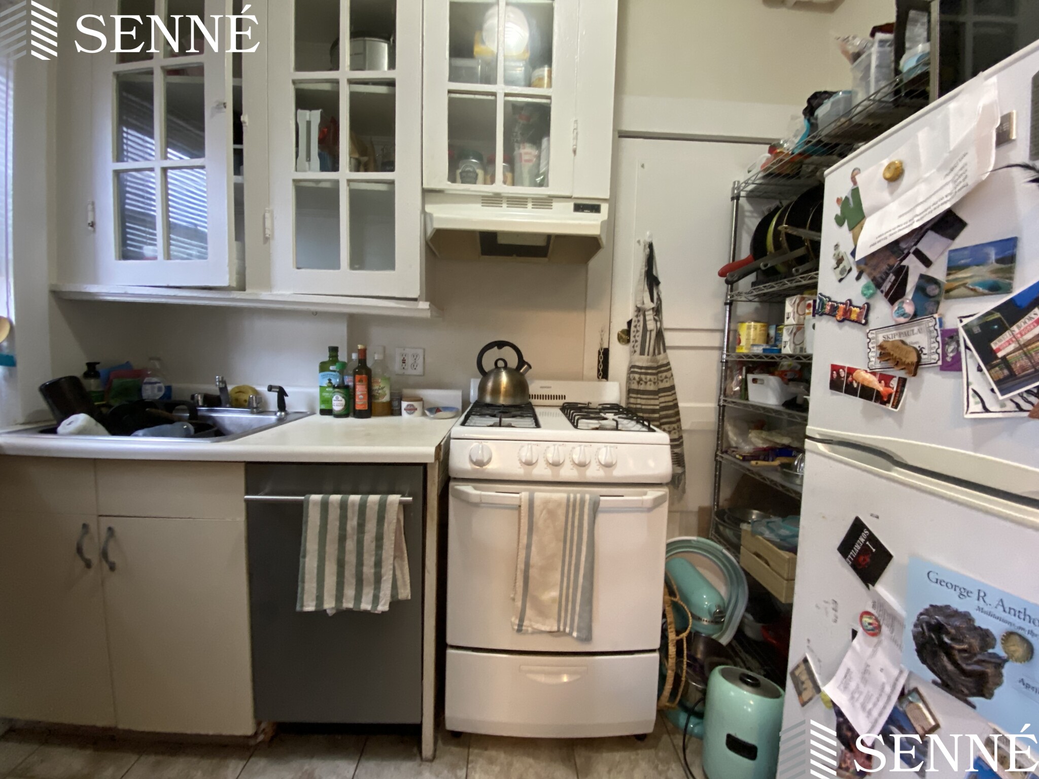 5 Linnaean St, Neighborhood Nine