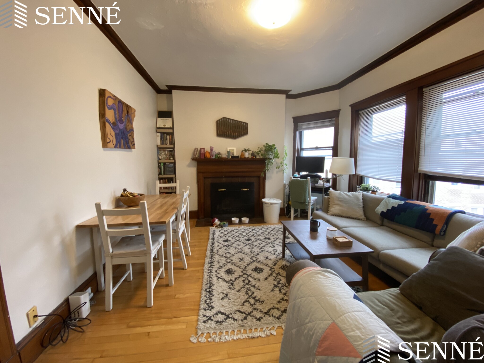 5 Linnaean St, Neighborhood Nine