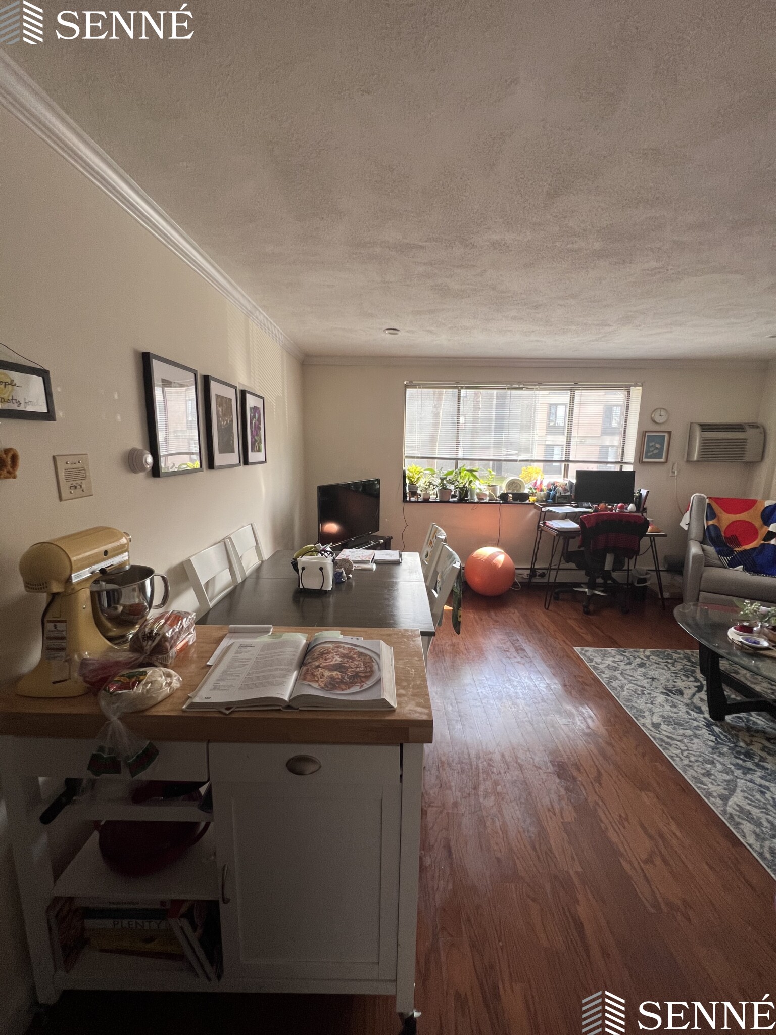 6 Blair Pl, Neighborhood Nine