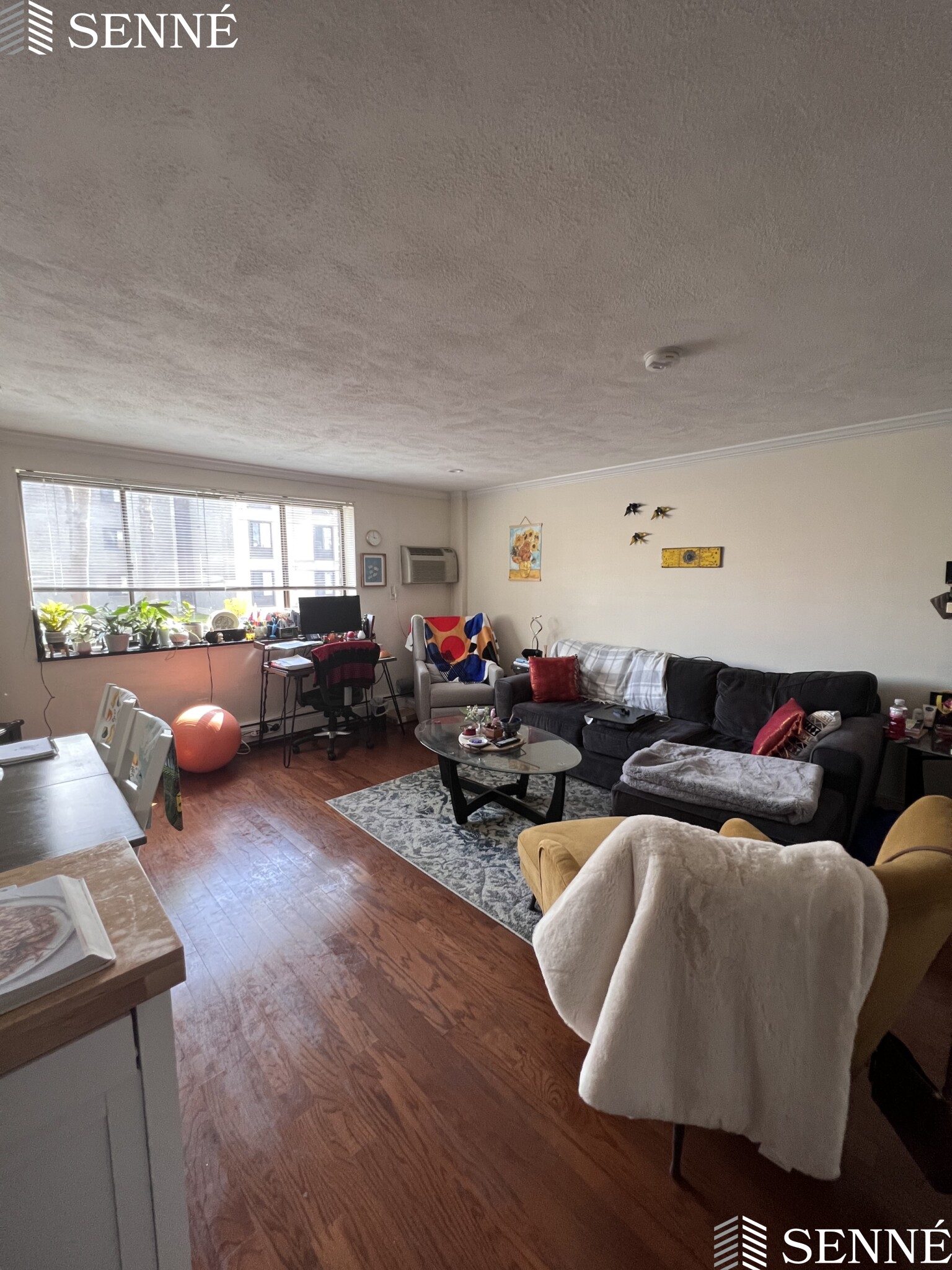 6 Blair Pl, Neighborhood Nine