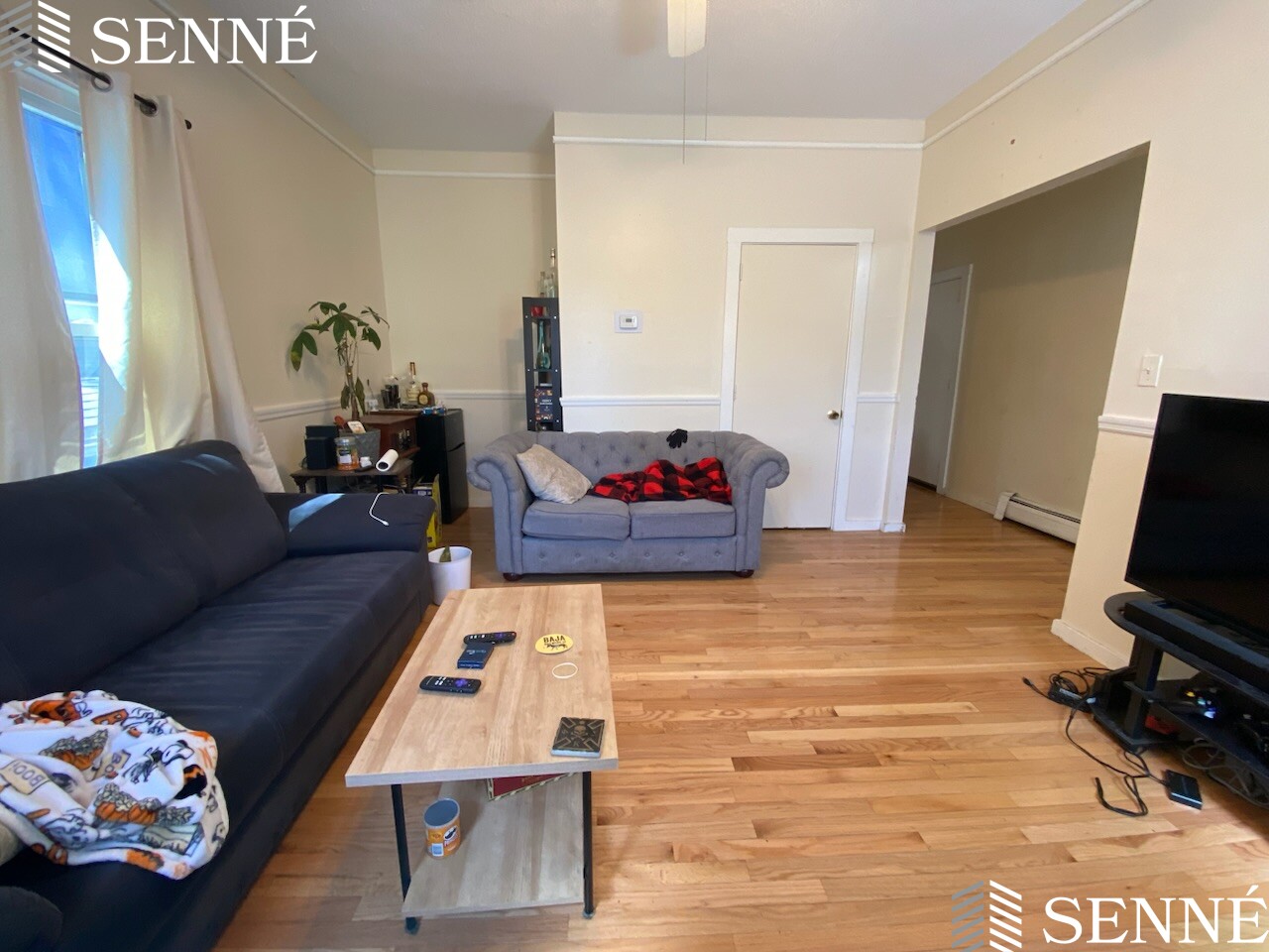 55 Pine St, The Port