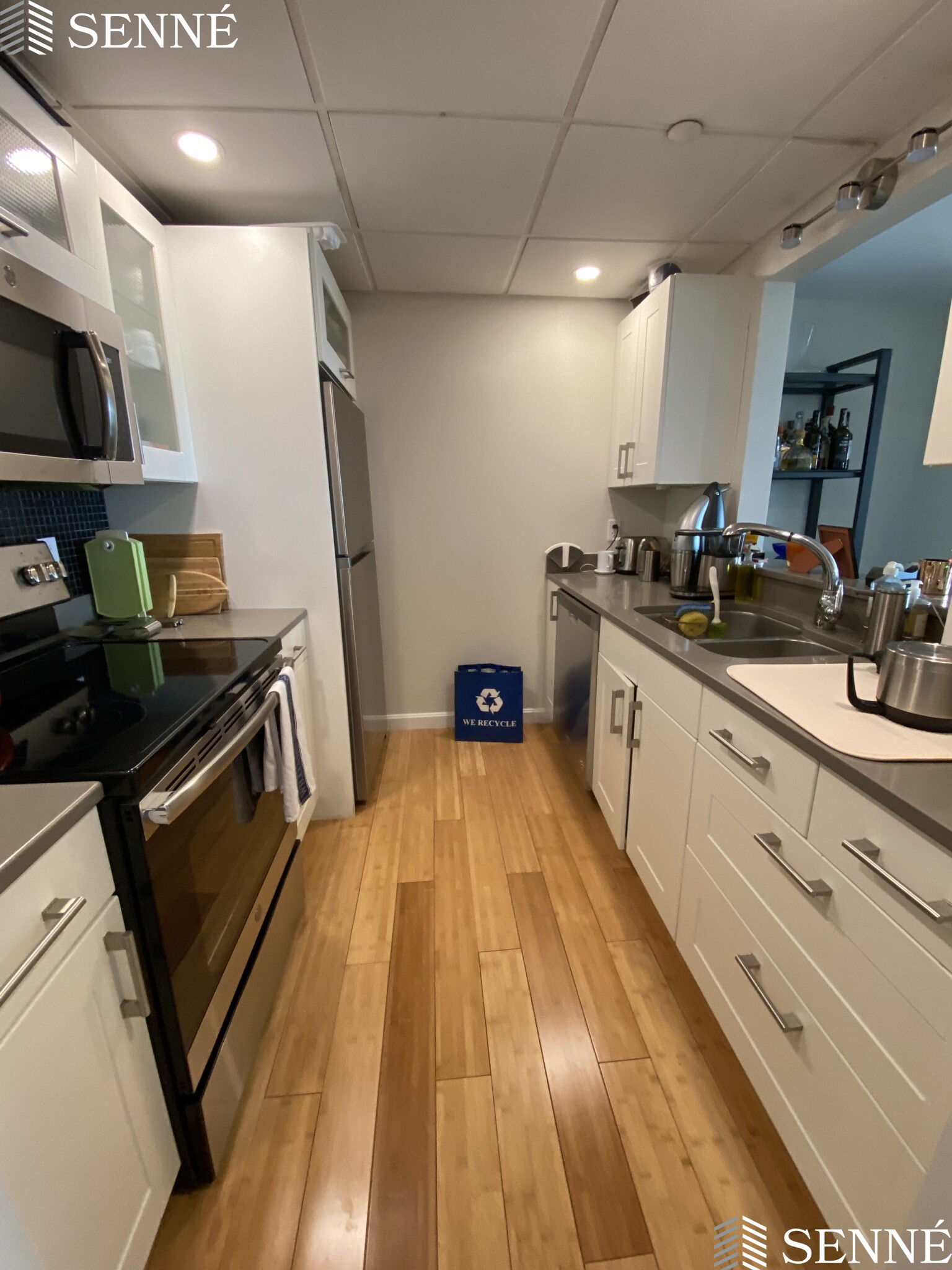 1008 Massachusetts Ave, Harvard Square