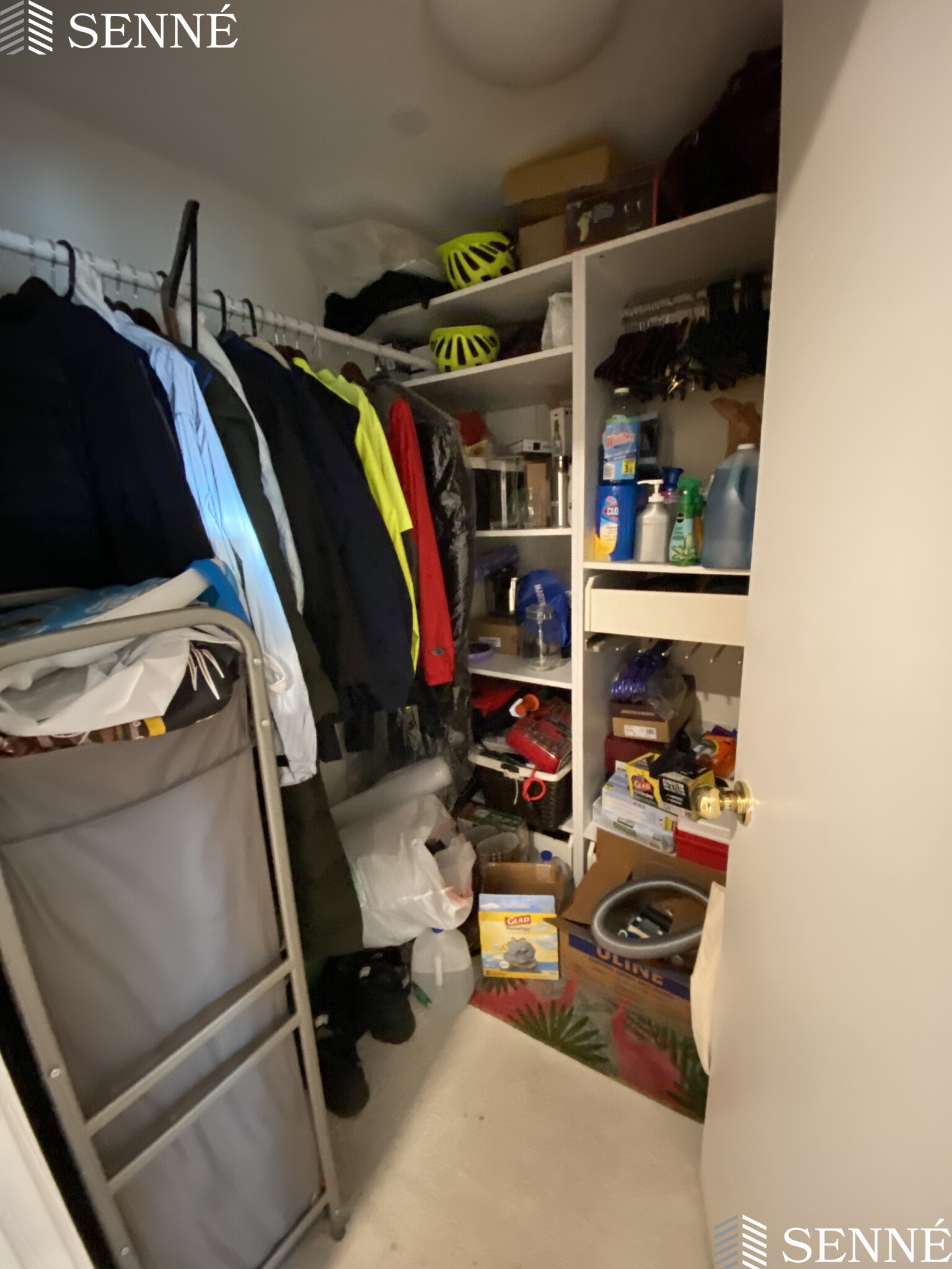 1008 Massachusetts Ave, Harvard Square