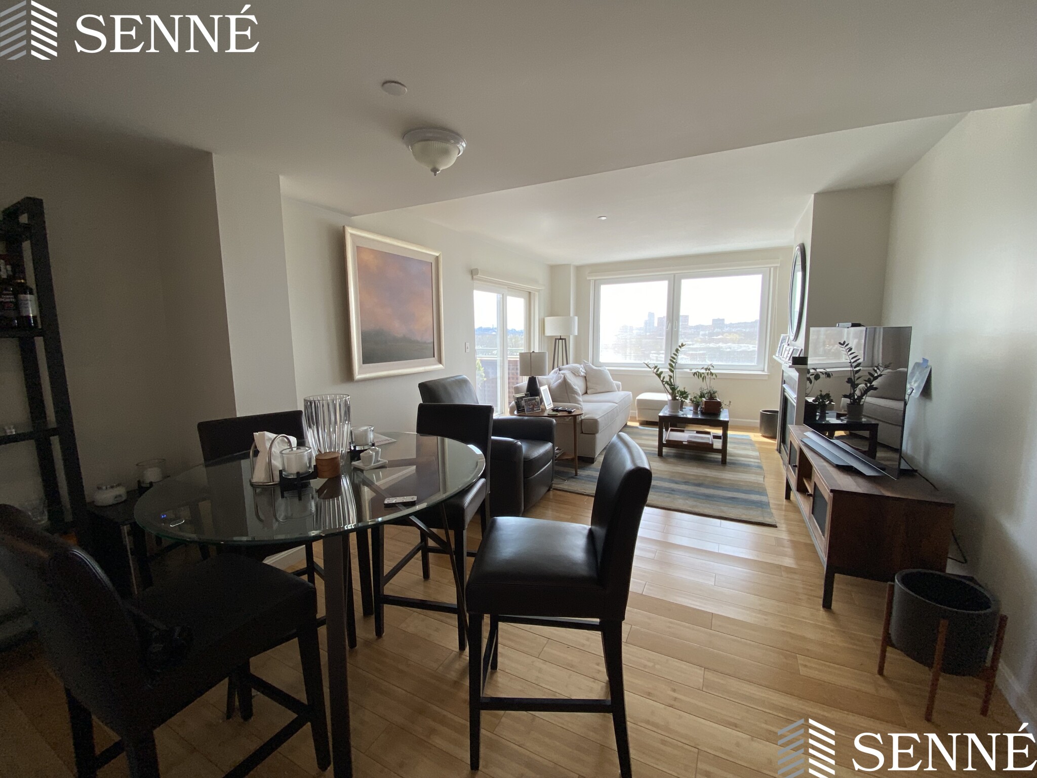 1008 Massachusetts Ave, Harvard Square