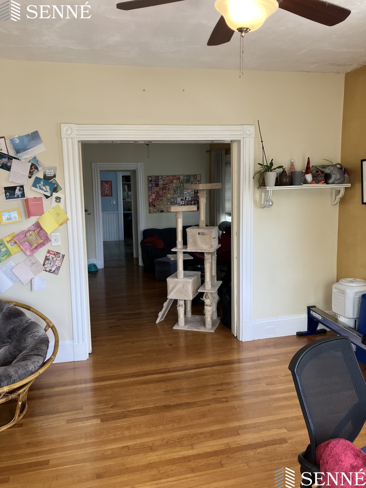 9 Forster St, Winter Hill