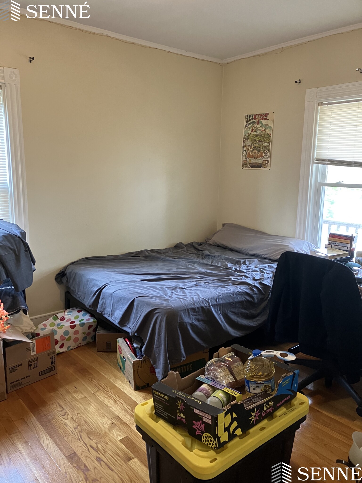 9 Forster St, Winter Hill