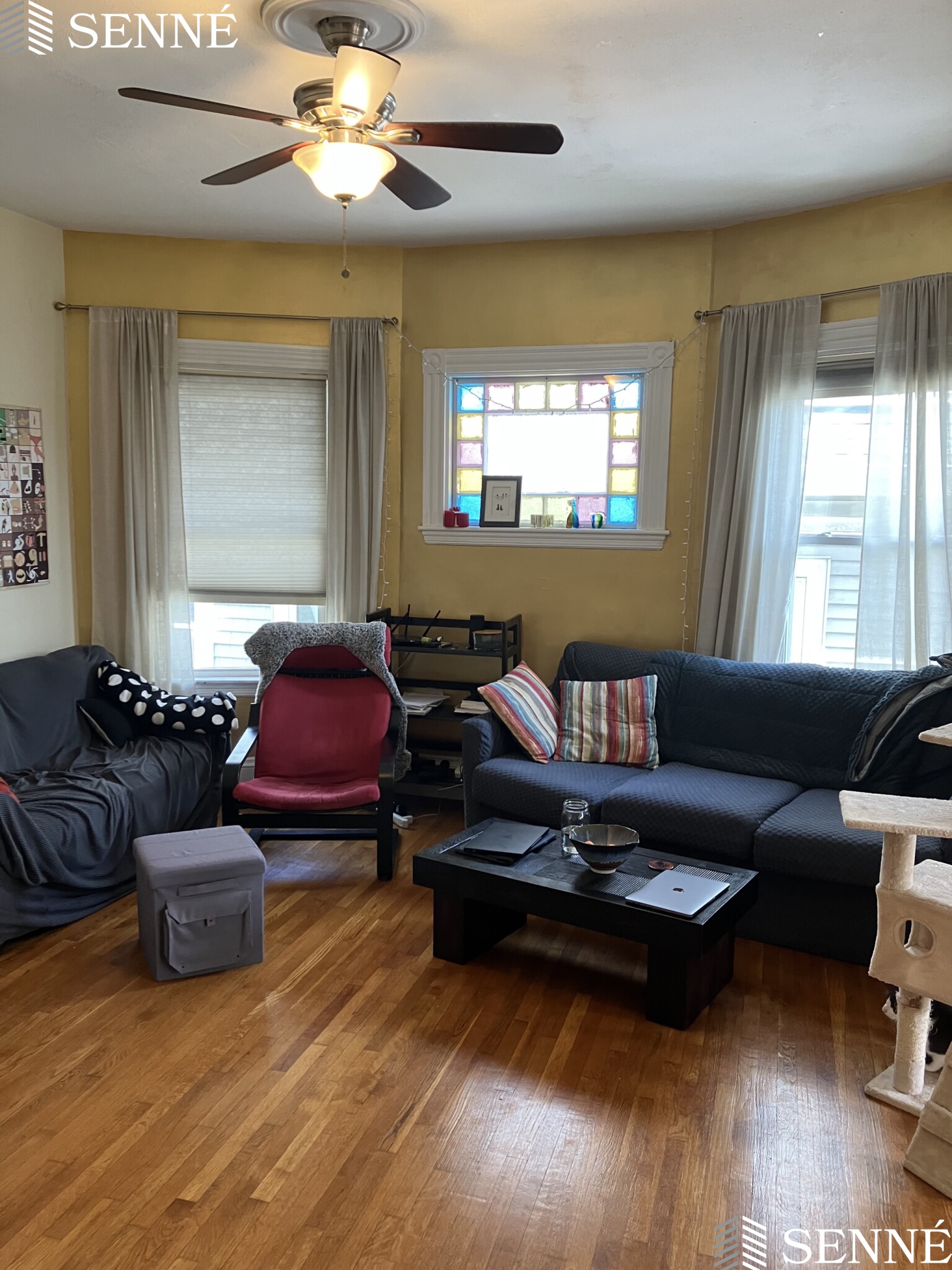 9 Forster St, Winter Hill