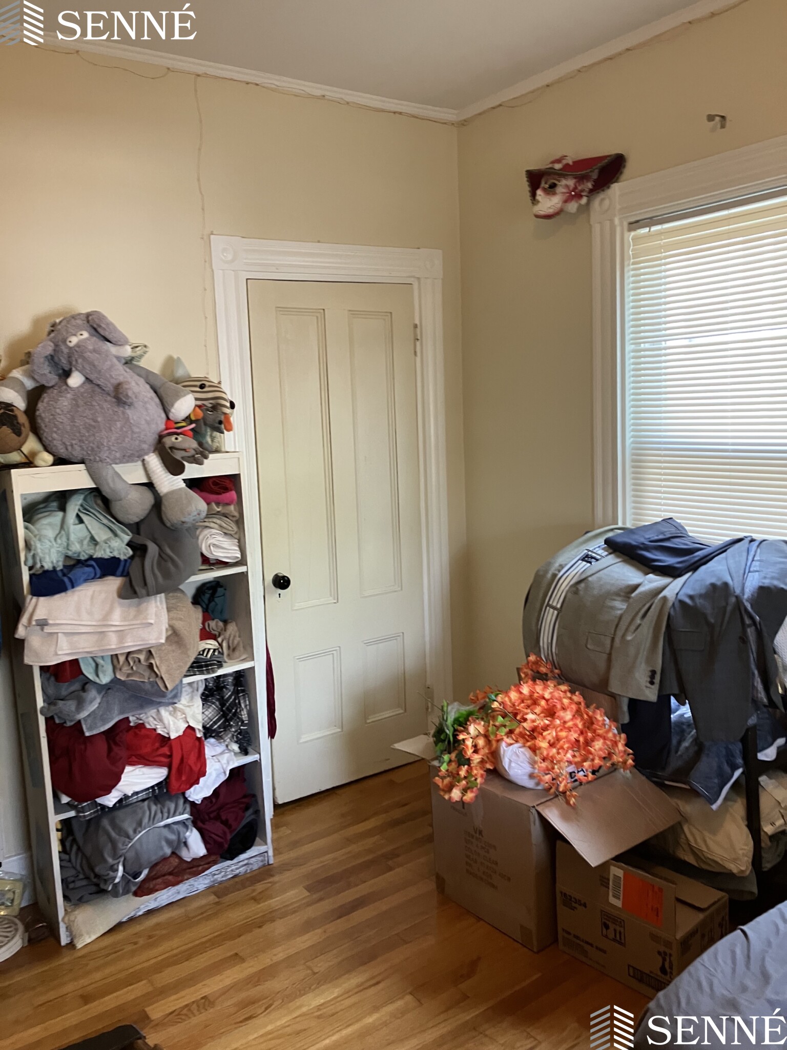 9 Forster St, Winter Hill