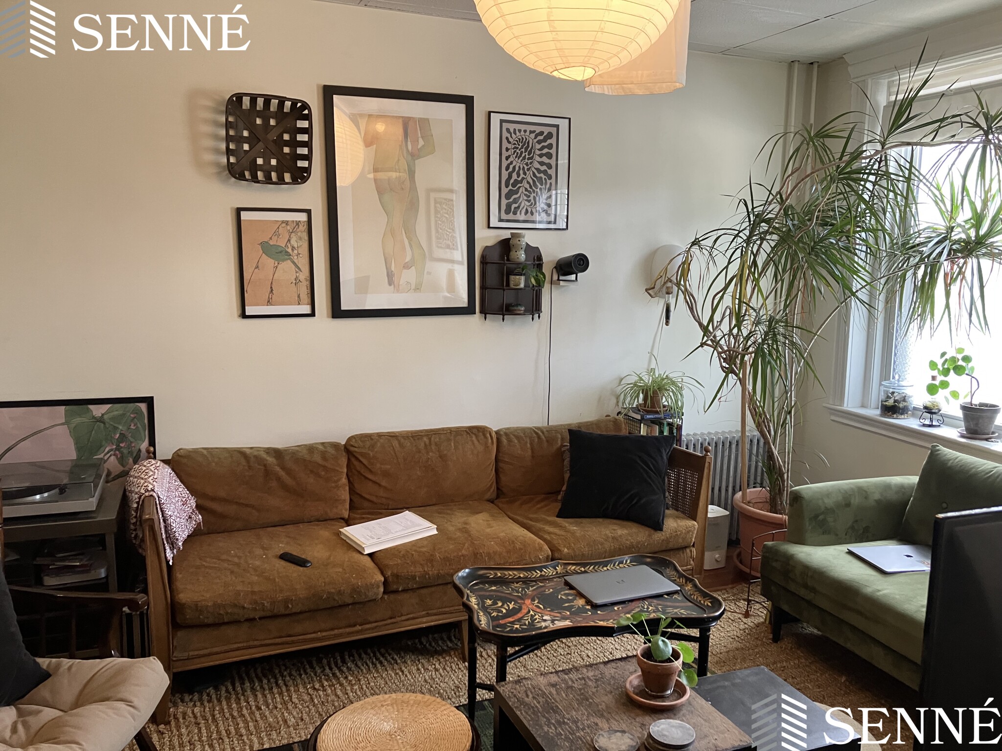 3 Quincy St, Prospect Hill