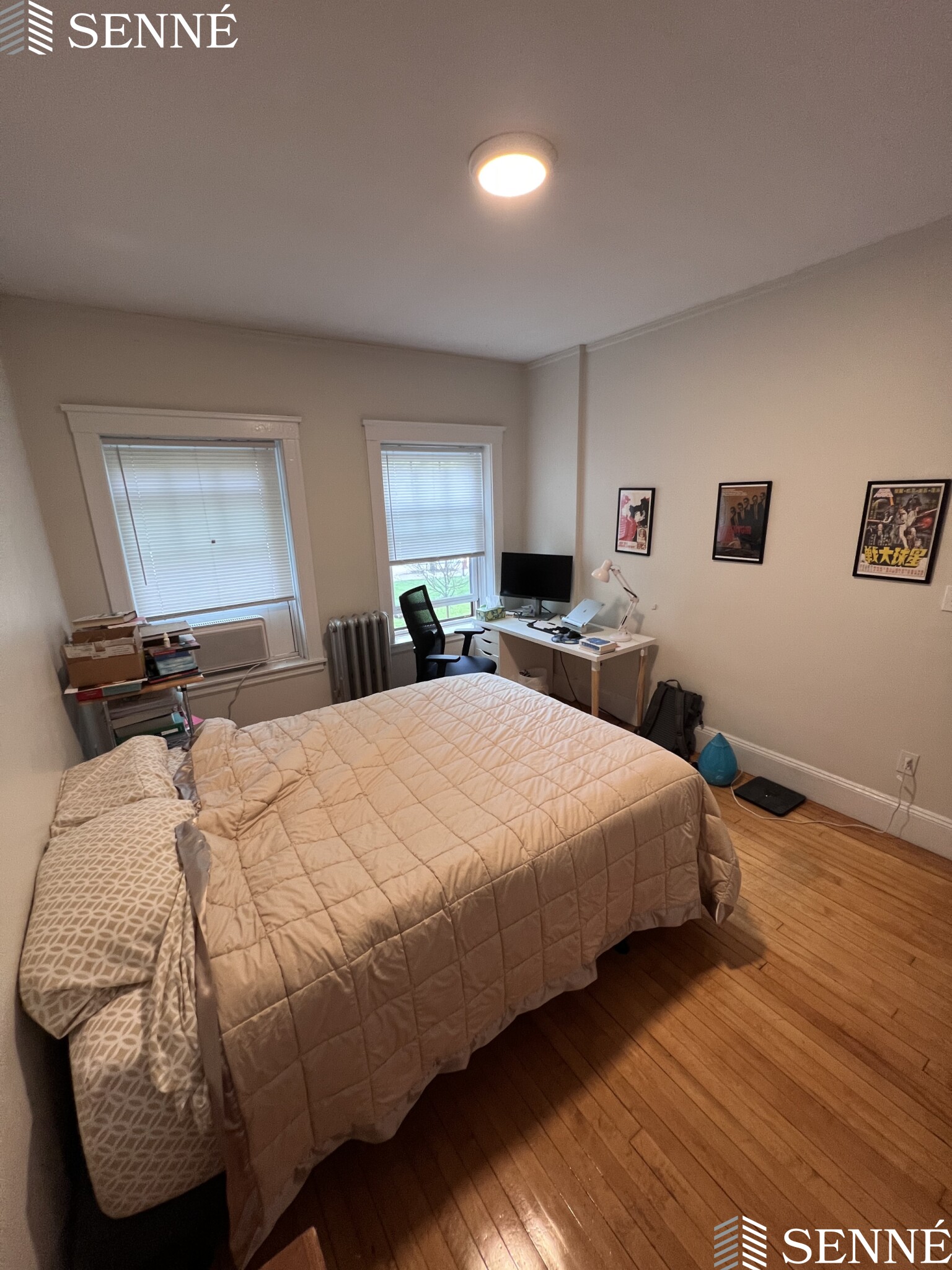 3 Linnaean St, Neighborhood Nine