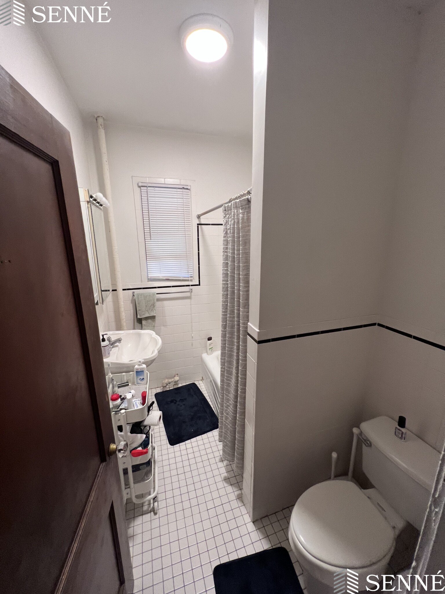 3 Linnaean St, Neighborhood Nine