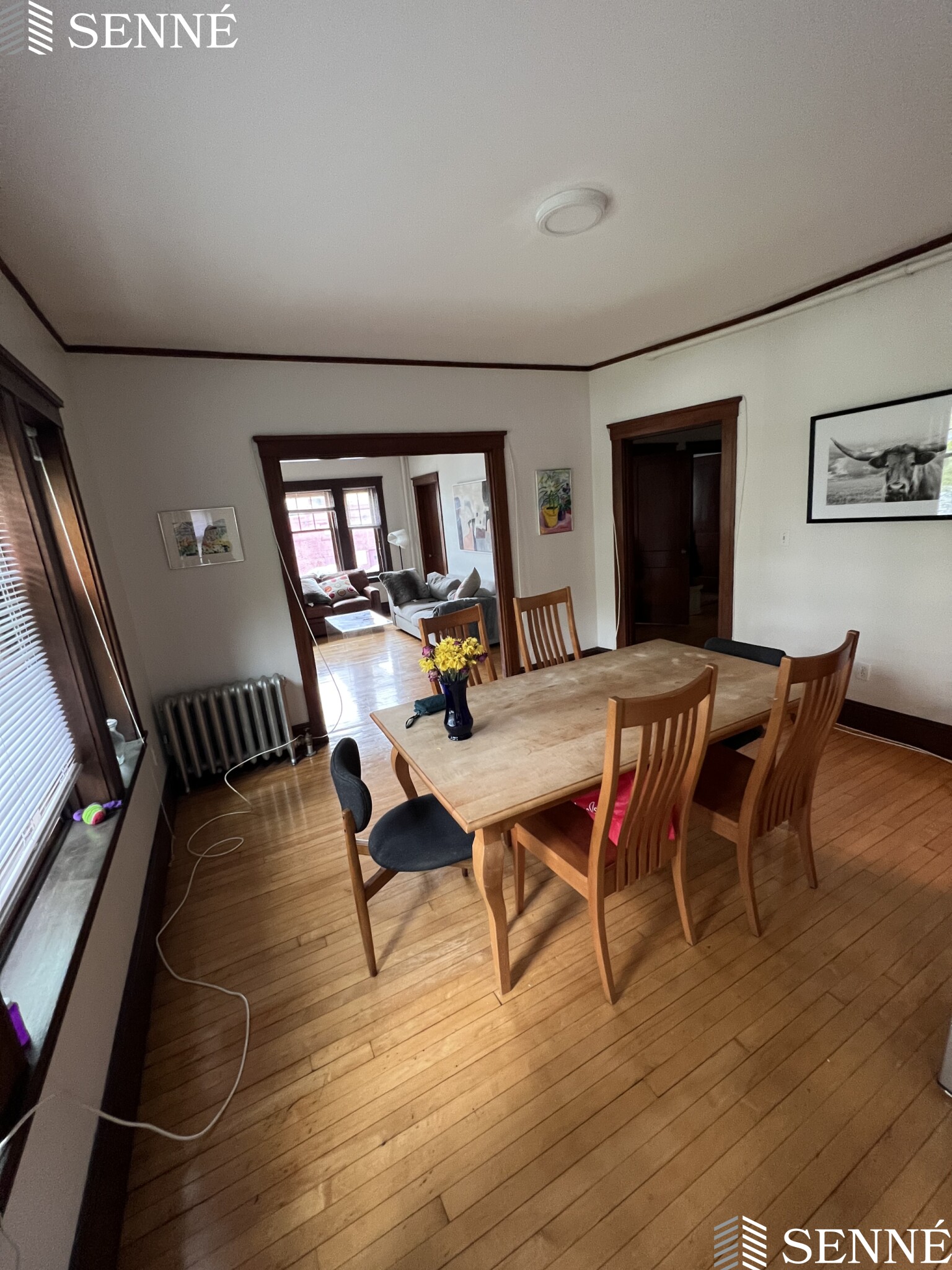 3 Linnaean St, Neighborhood Nine