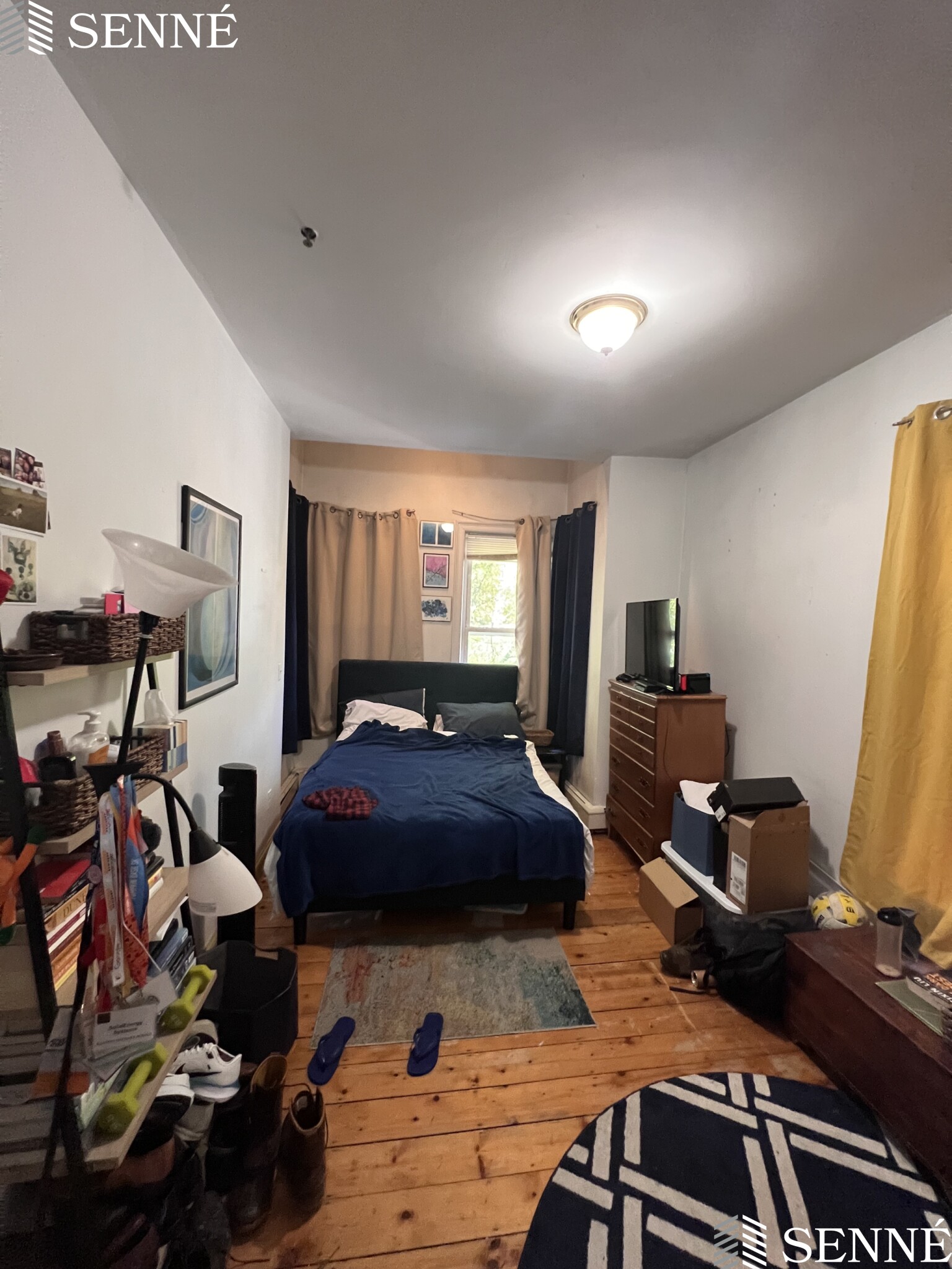 86 Webster Ave, Wellington-Harrington