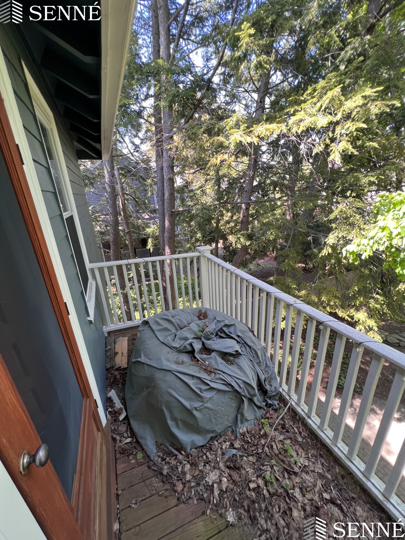 24 Rindgefield St, North Cambridge