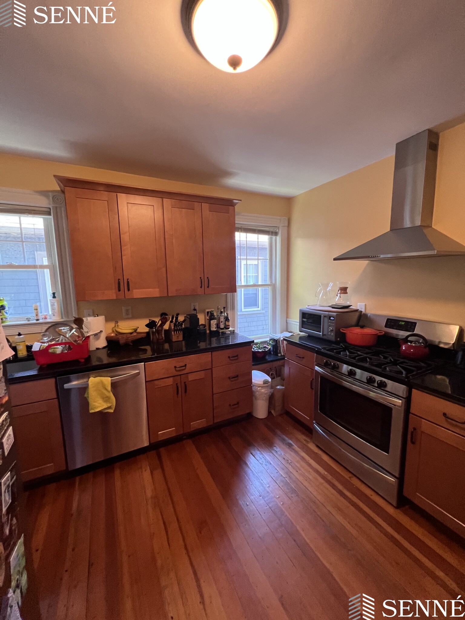 24 Rindgefield St, North Cambridge