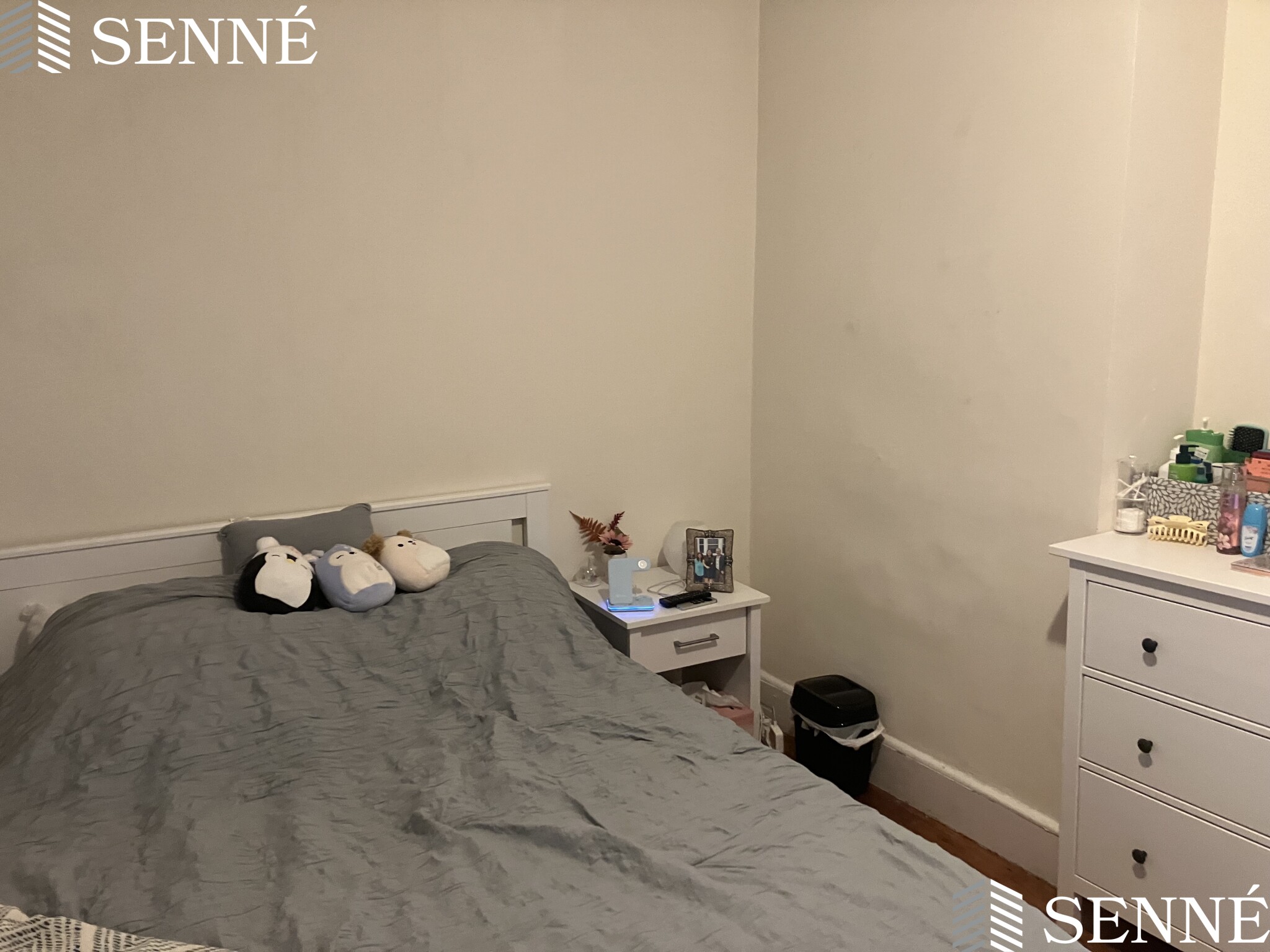 21 Howard St, Davis Square