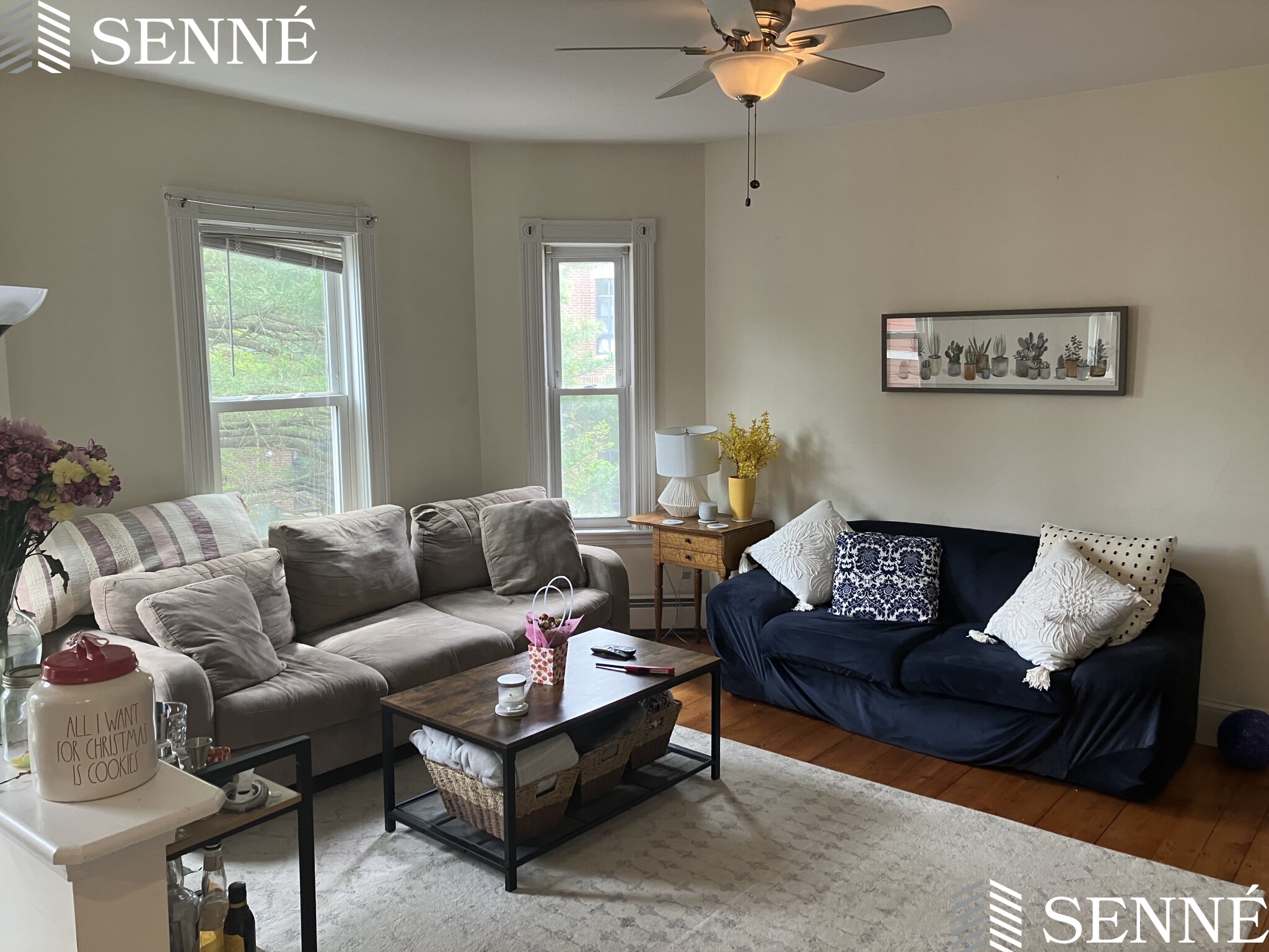 21 Howard St, Davis Square