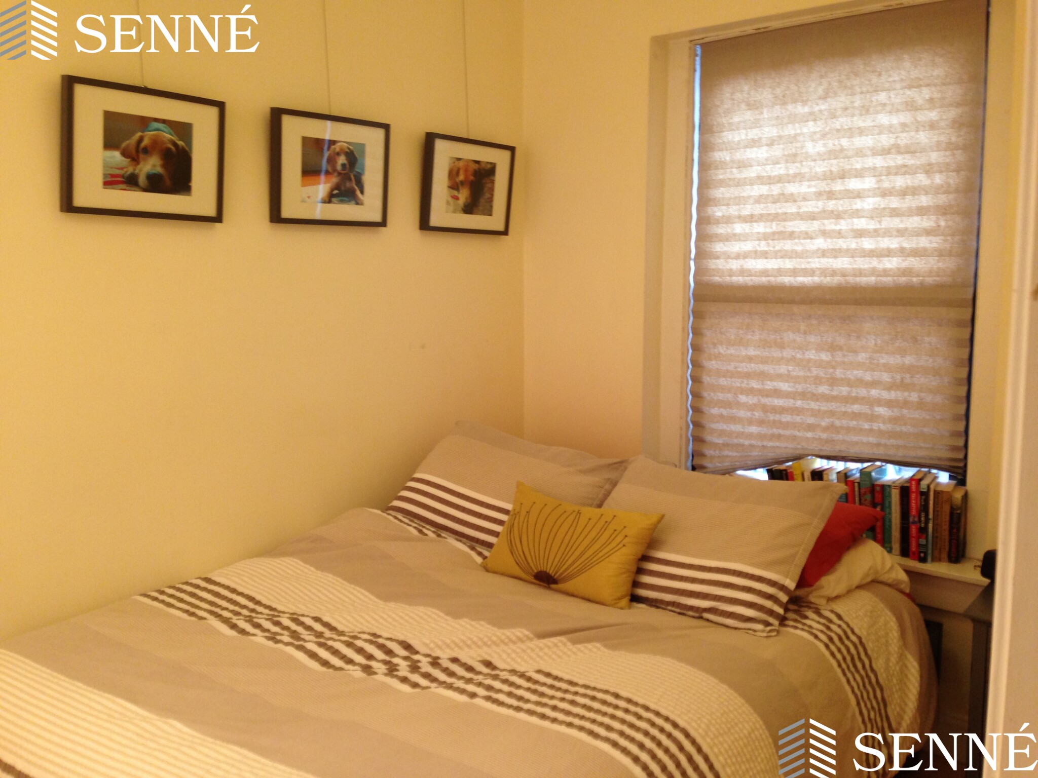 702 Massachusetts Ave, South End