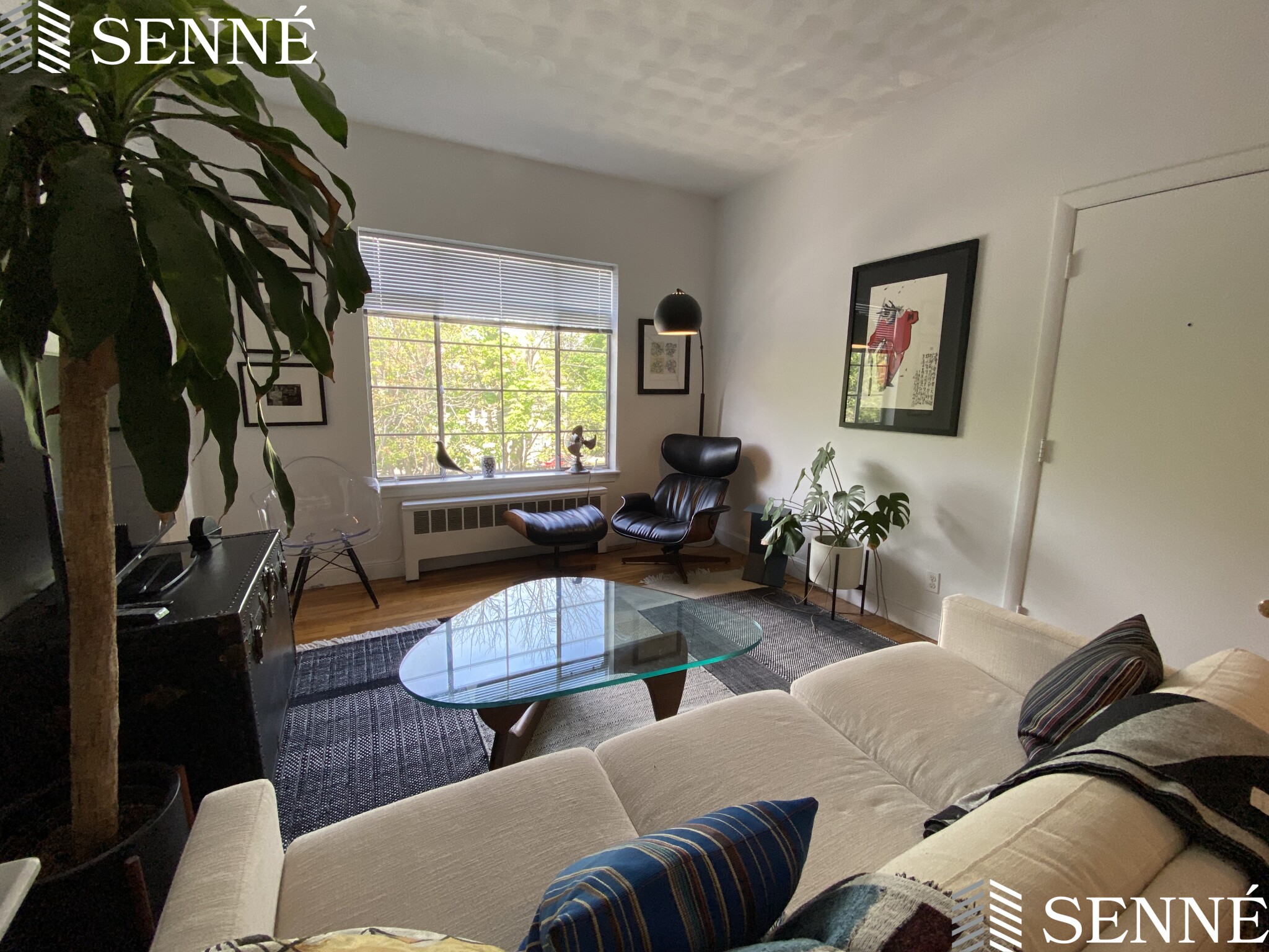 21 Ellery St, Mid-Cambridge