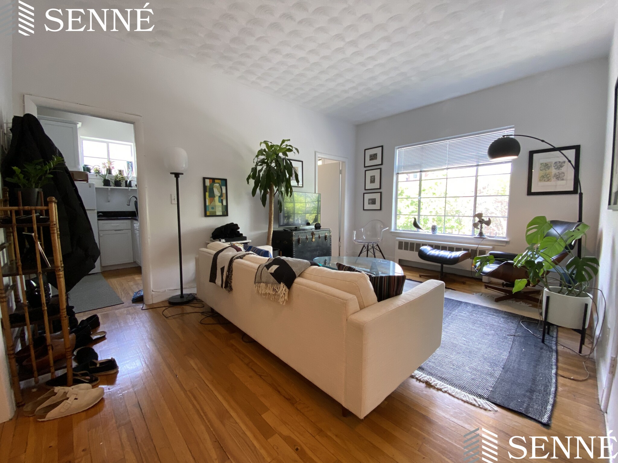 21 Ellery St, Mid-Cambridge