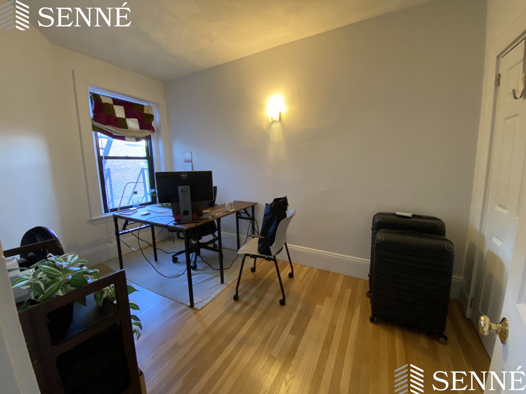 991 Mass Ave, Mid Cambridge