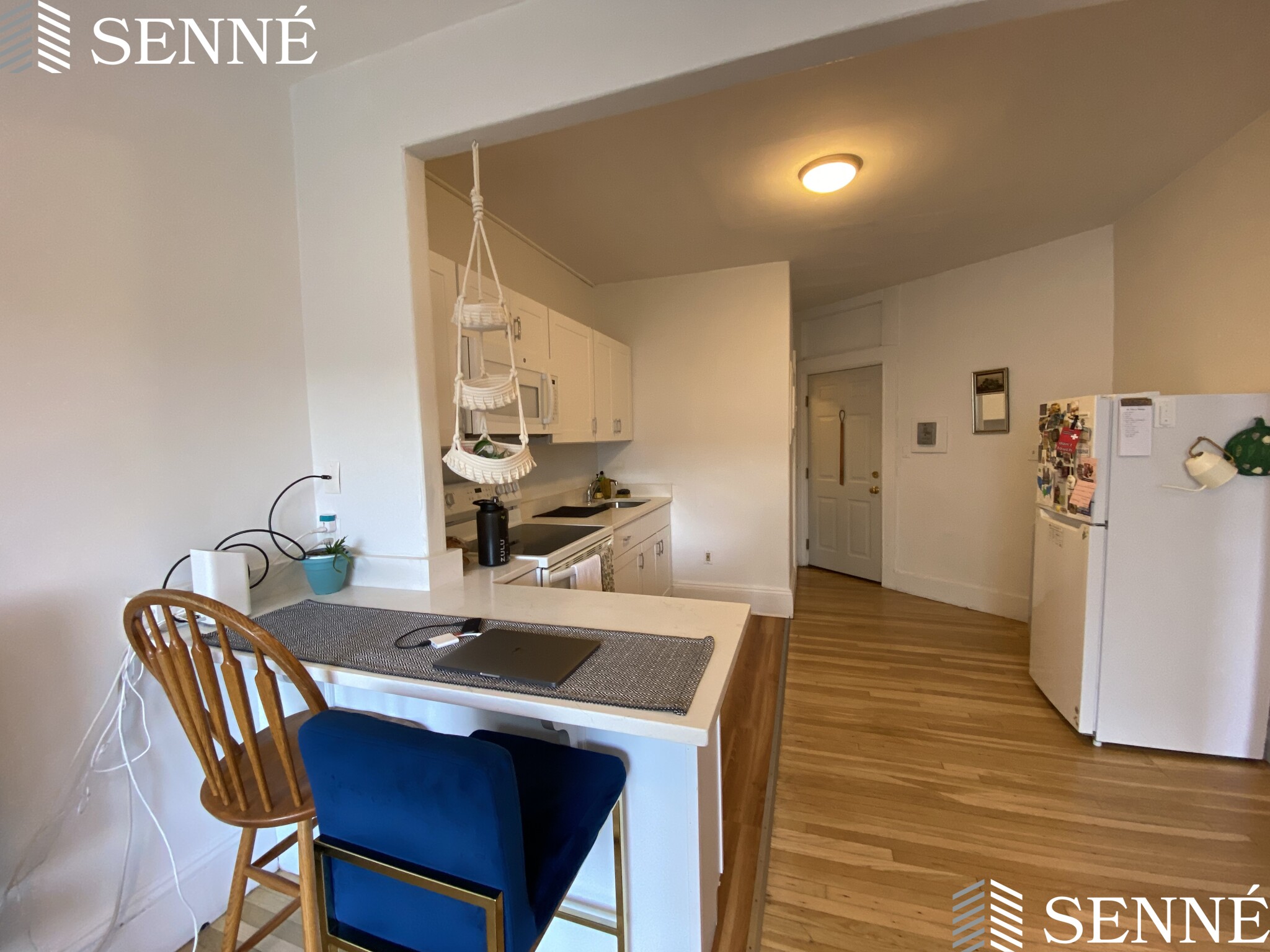 991 Mass Ave, Mid Cambridge