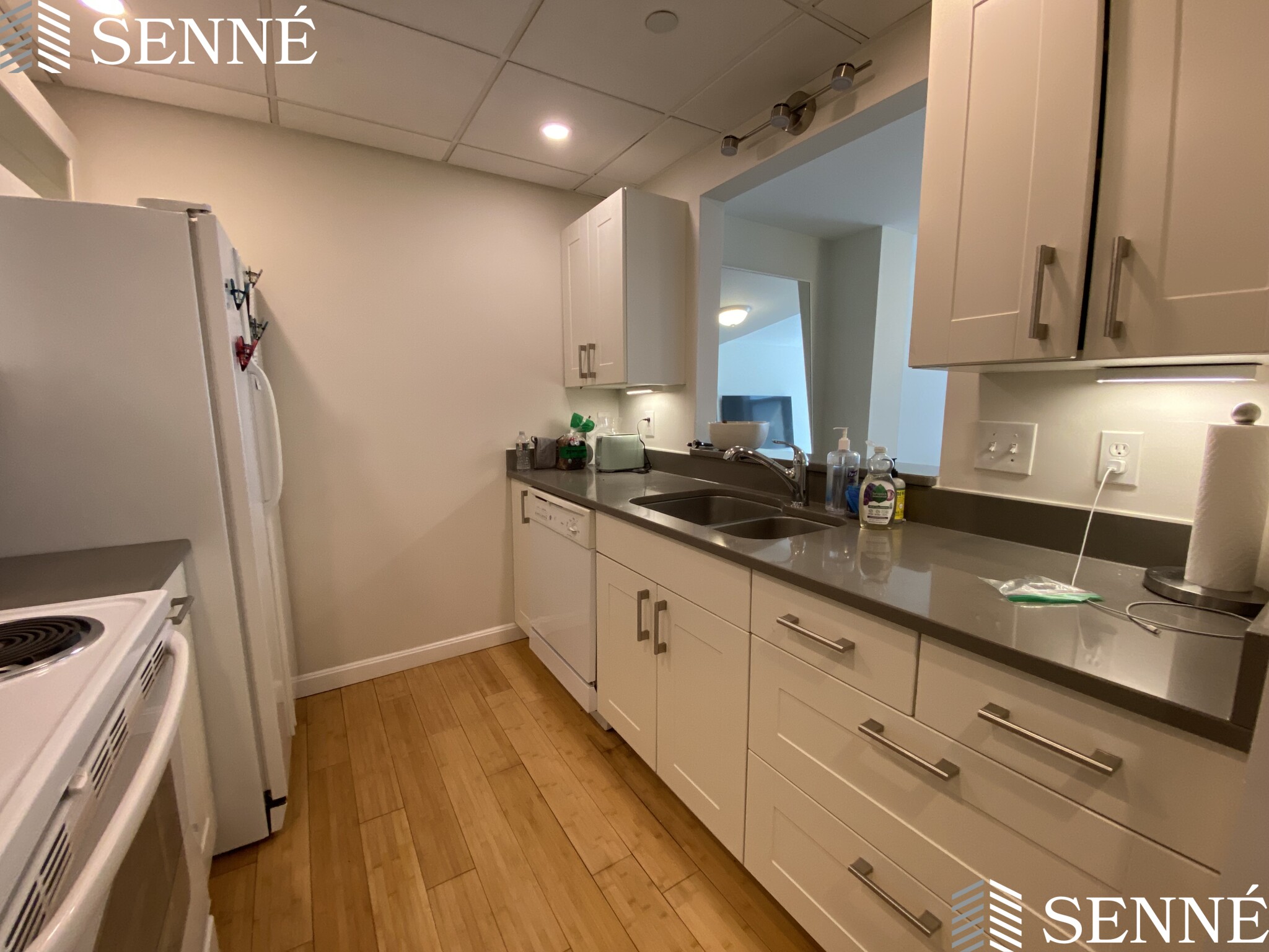 1008 Massachusetts Ave, Harvard Square