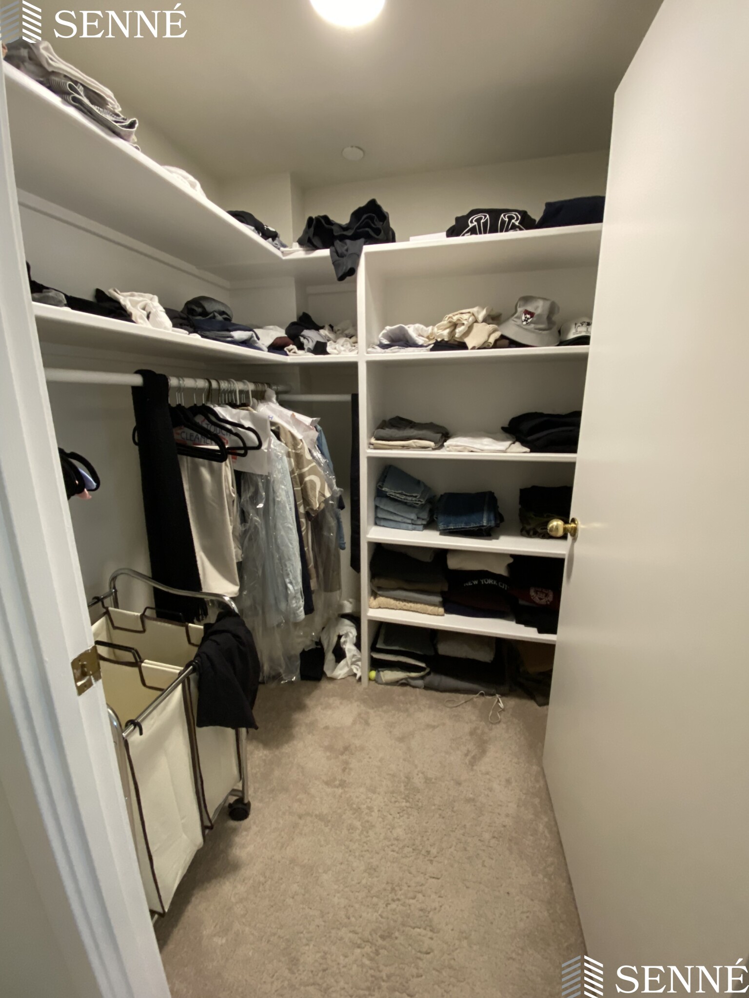 1008 Massachusetts Ave, Harvard Square