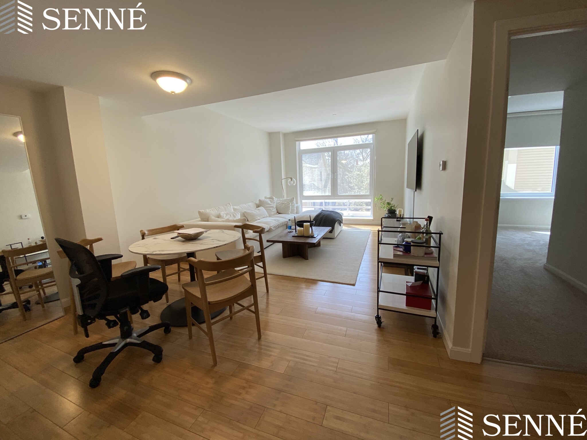 1008 Massachusetts Ave, Harvard Square