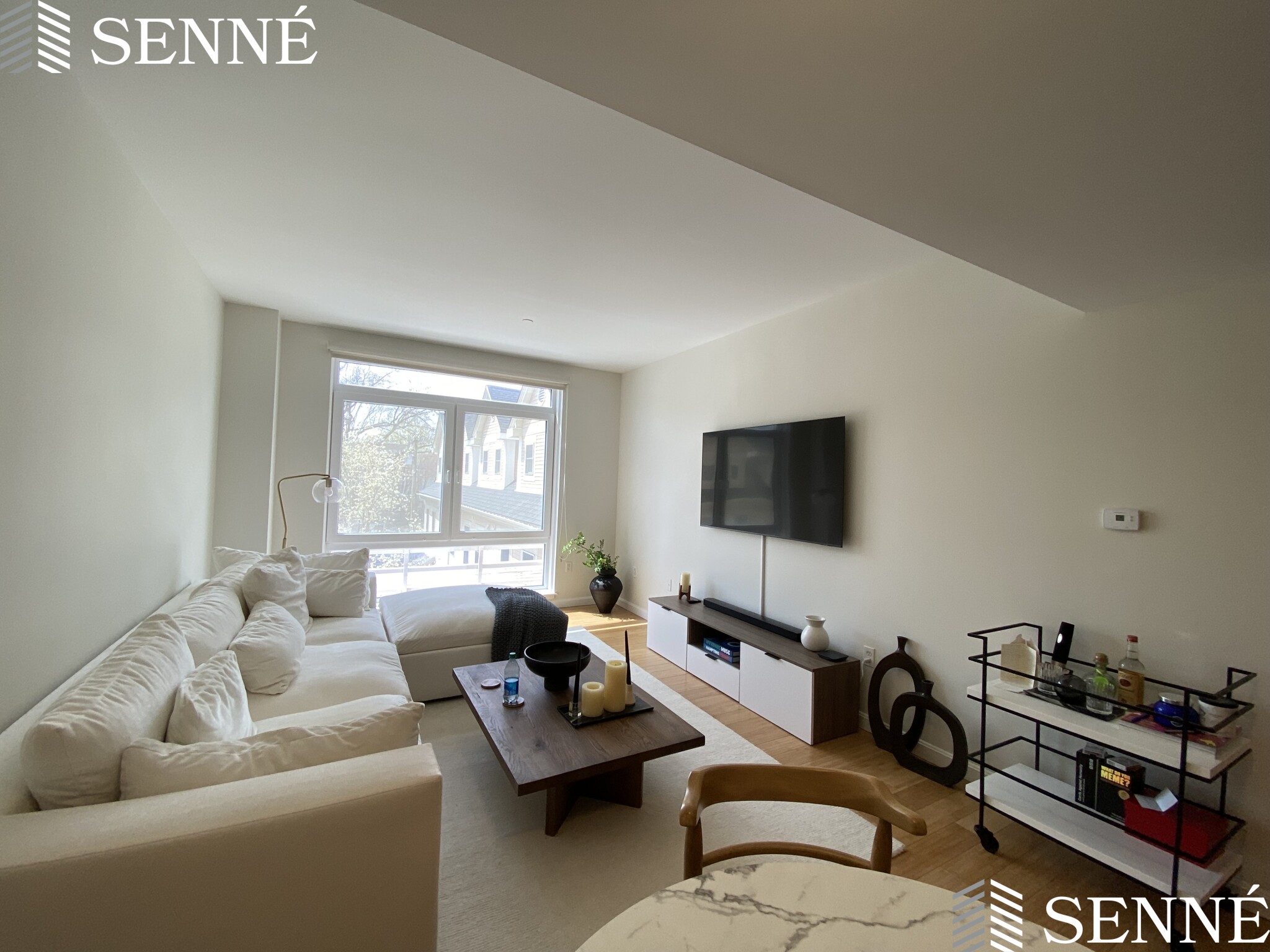 1008 Massachusetts Ave, Harvard Square