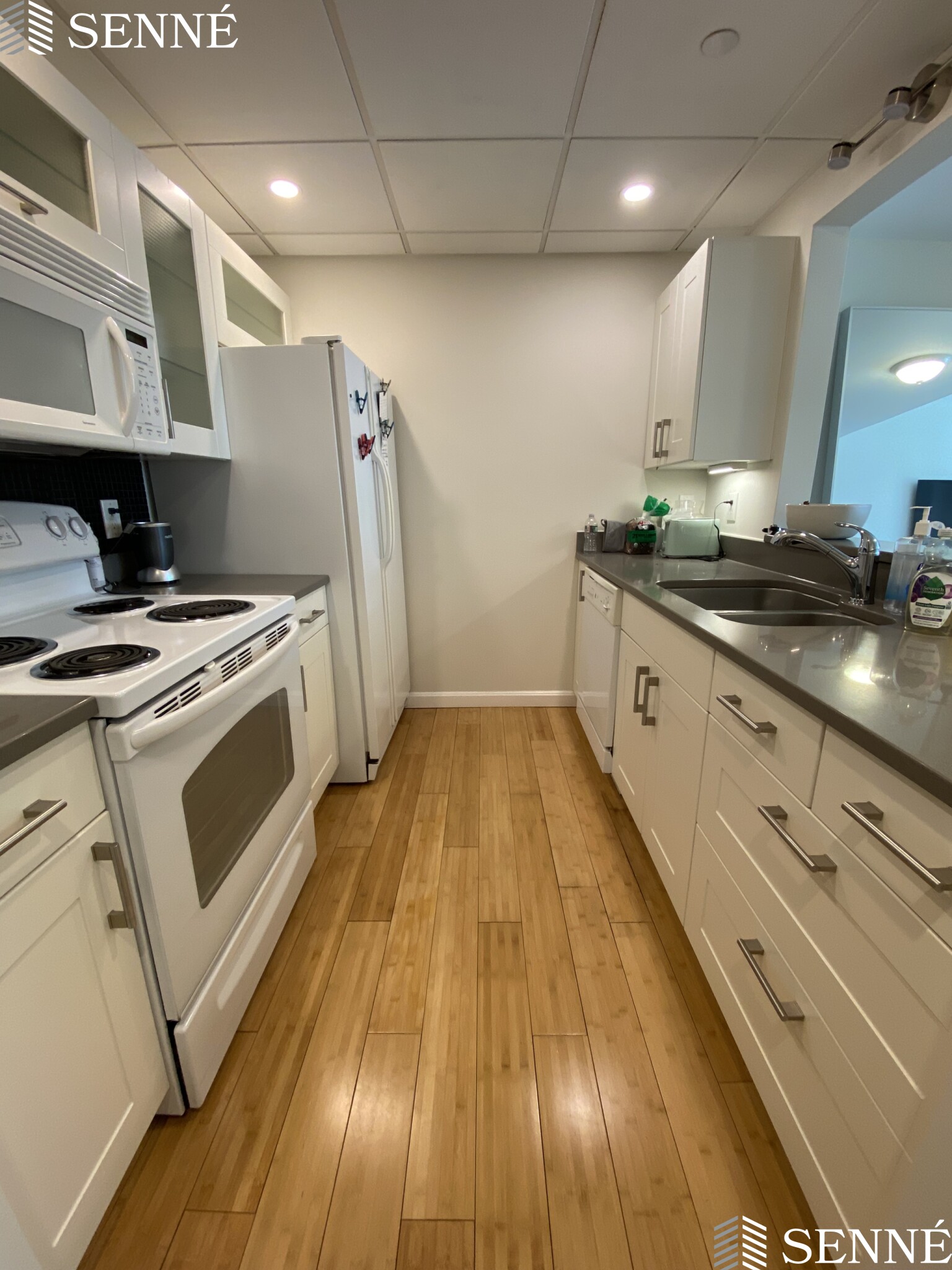 1008 Massachusetts Ave, Harvard Square