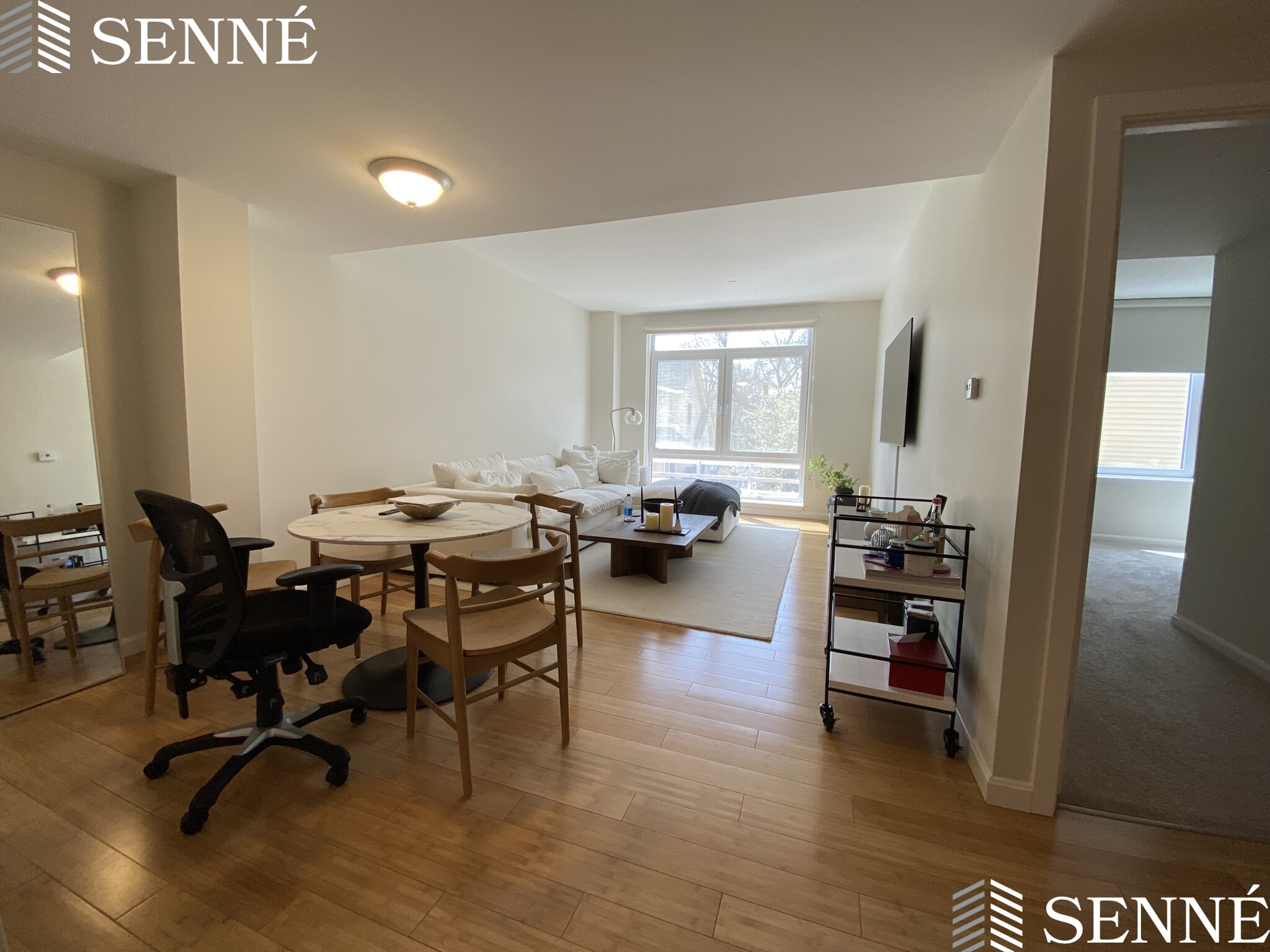 1008 Massachusetts Ave, Harvard Square